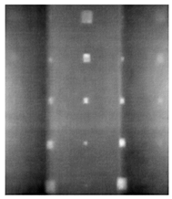 Sensors 23 04444 i077