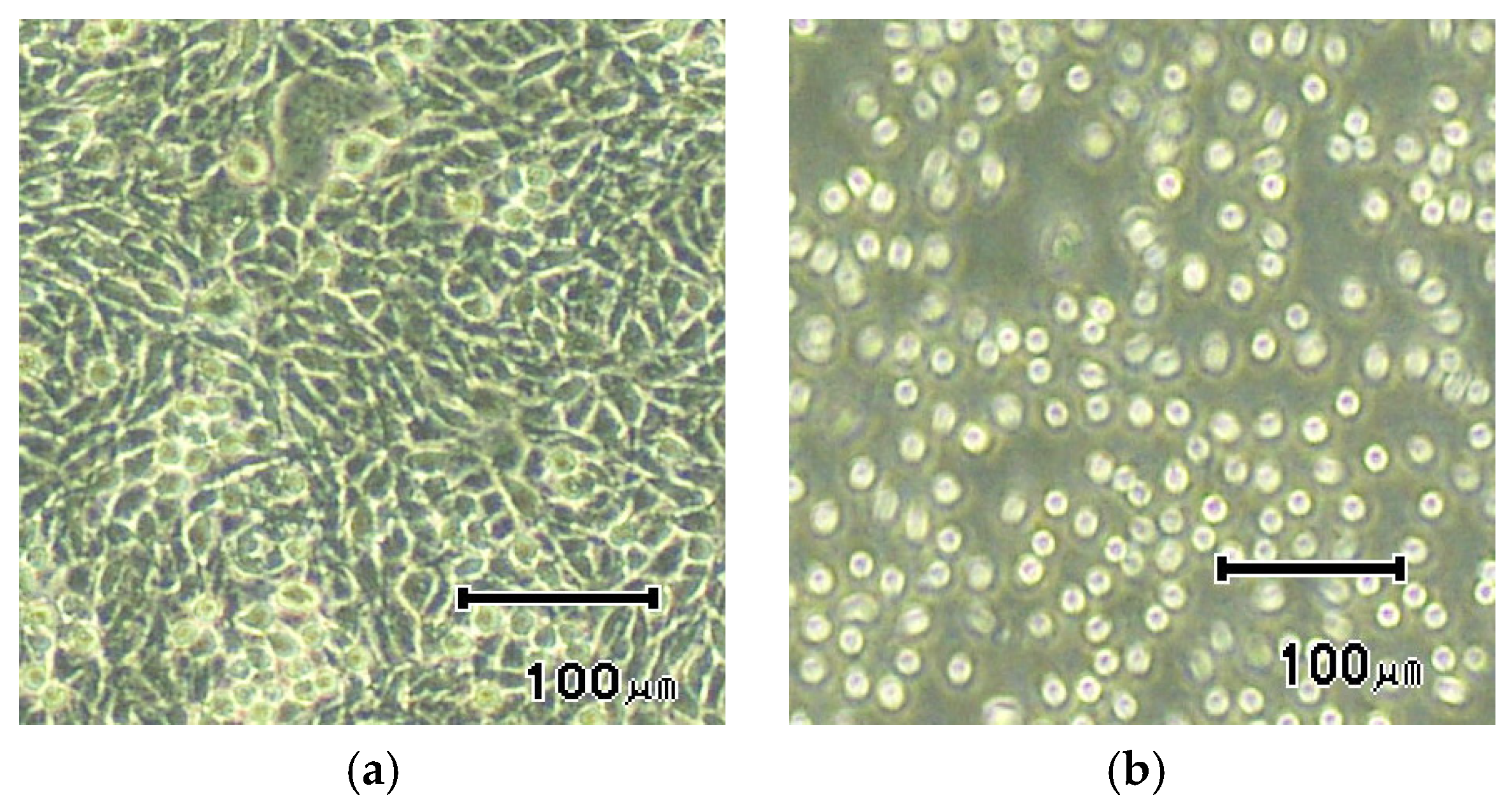 Sensors 23 04453 g011
