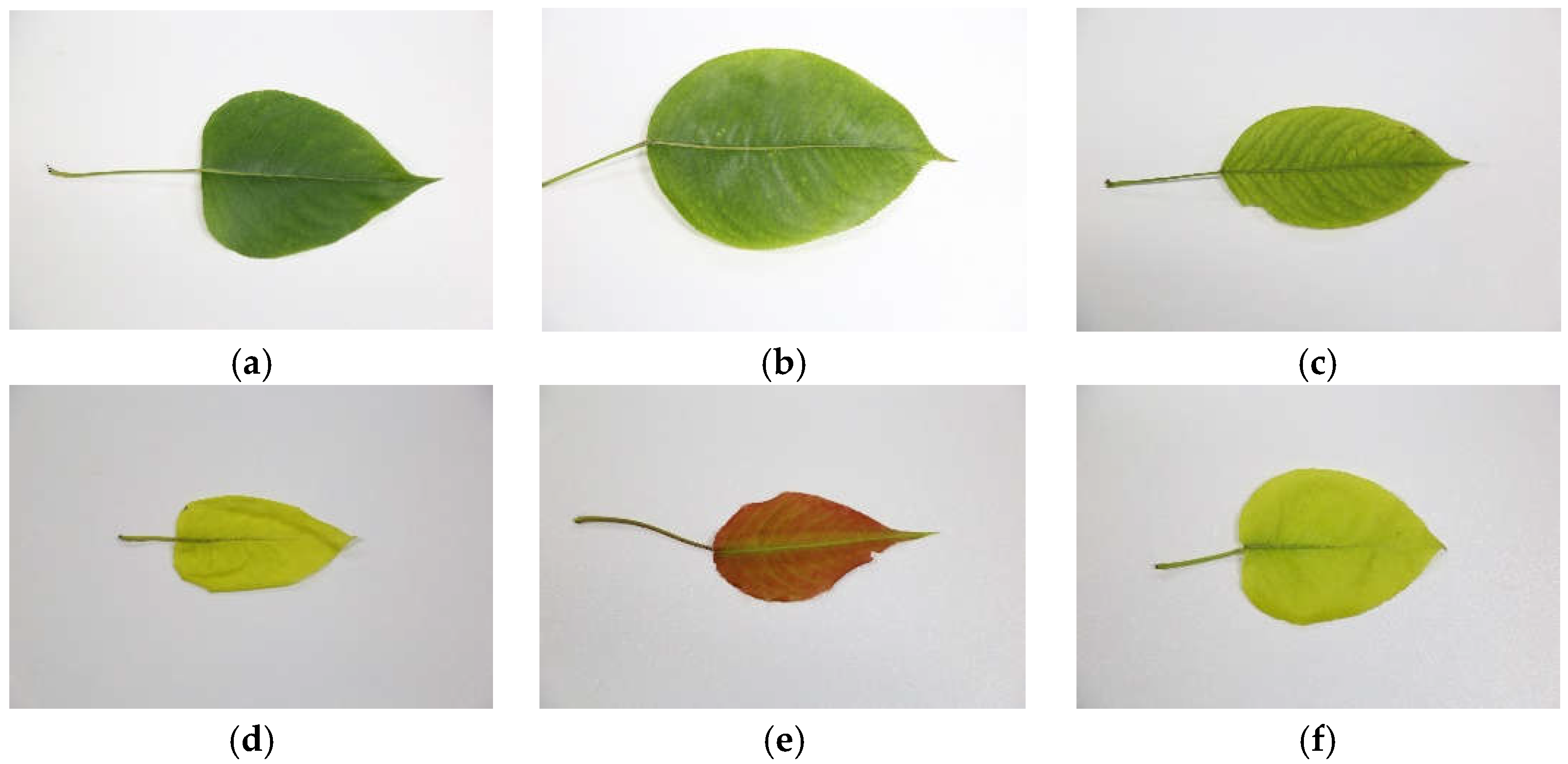 Sensors 23 04507 g001