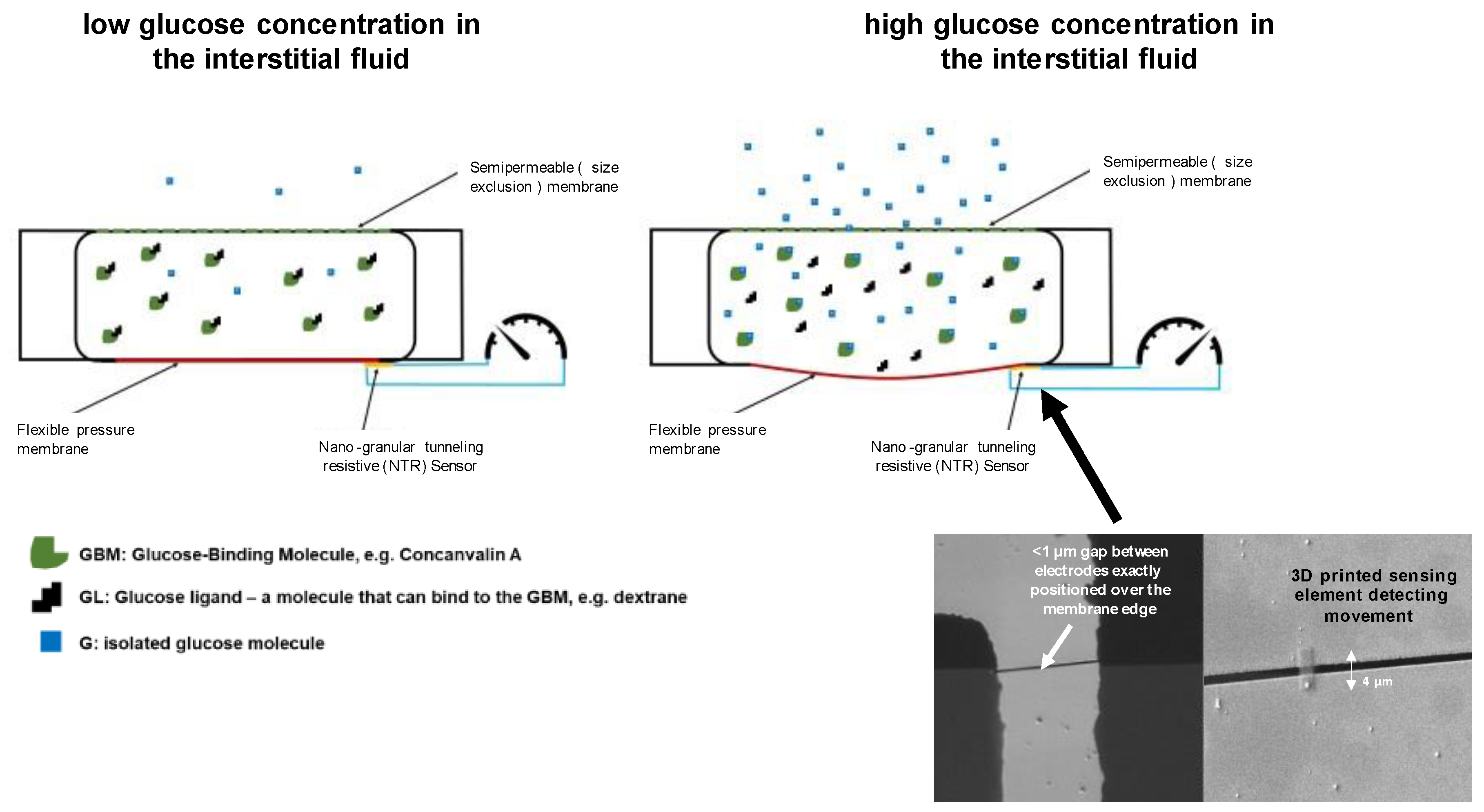 Sensors 23 04541 g003