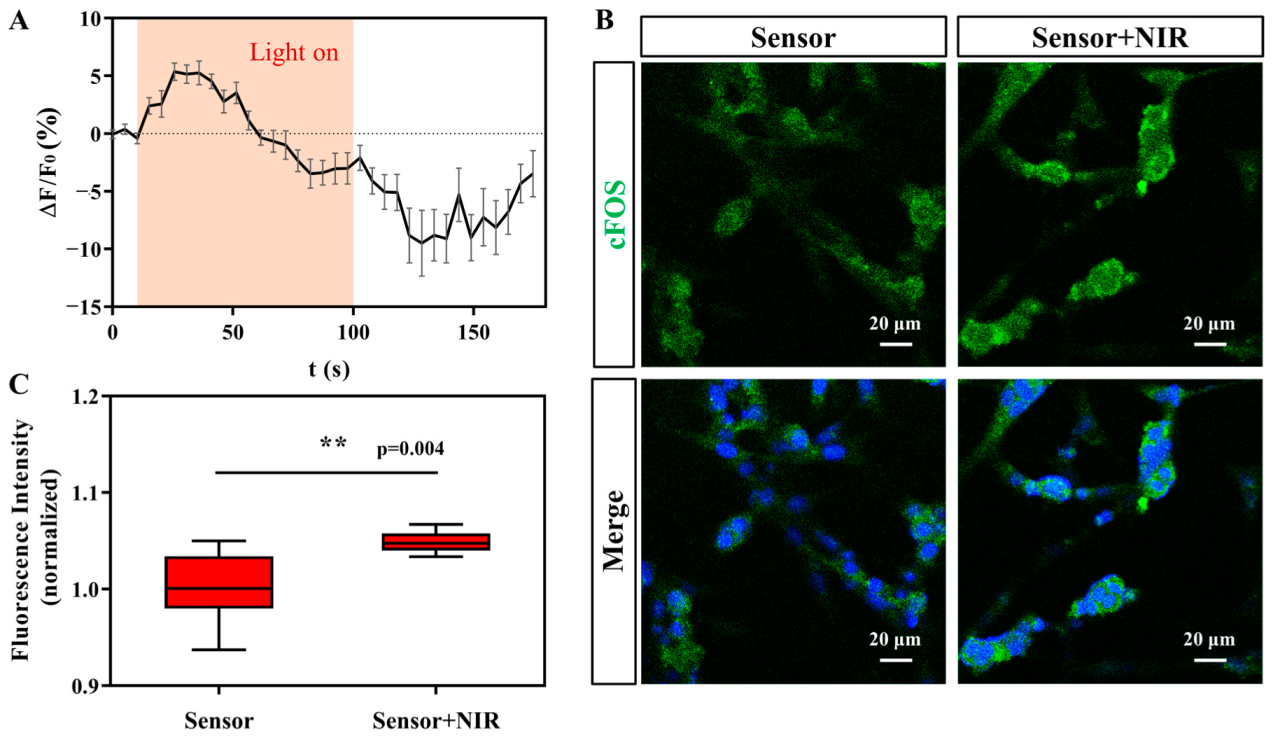 Sensors 23 04560 g006