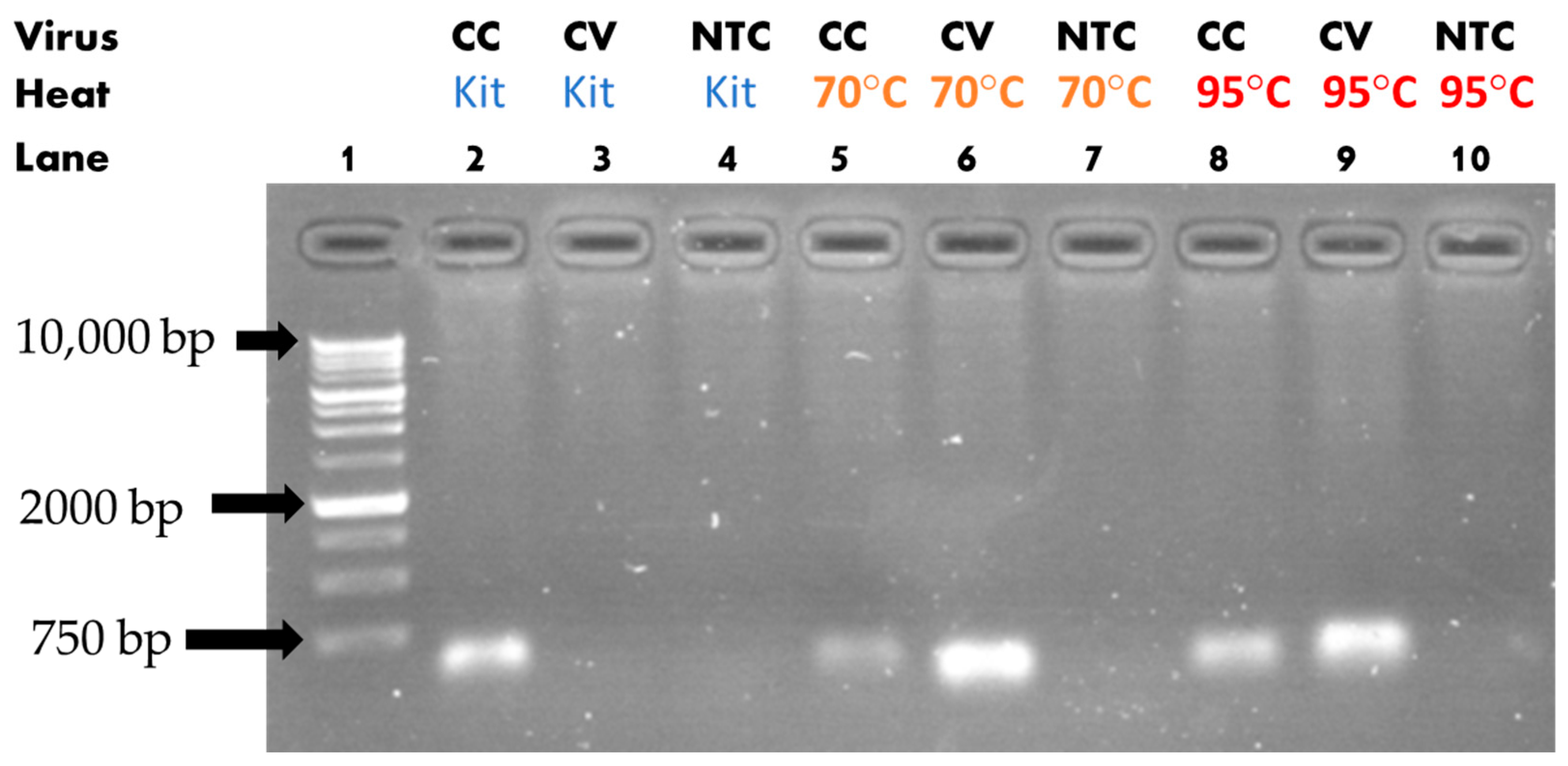 Sensors 23 04604 g006 Sensors 23 04604 g006