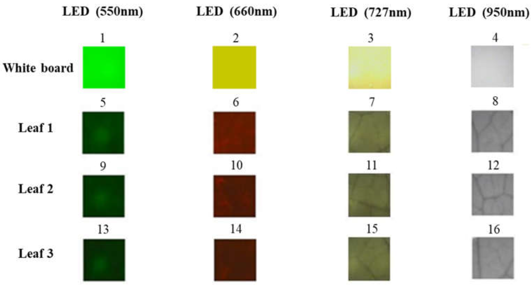 Sensors 23 04636 g009