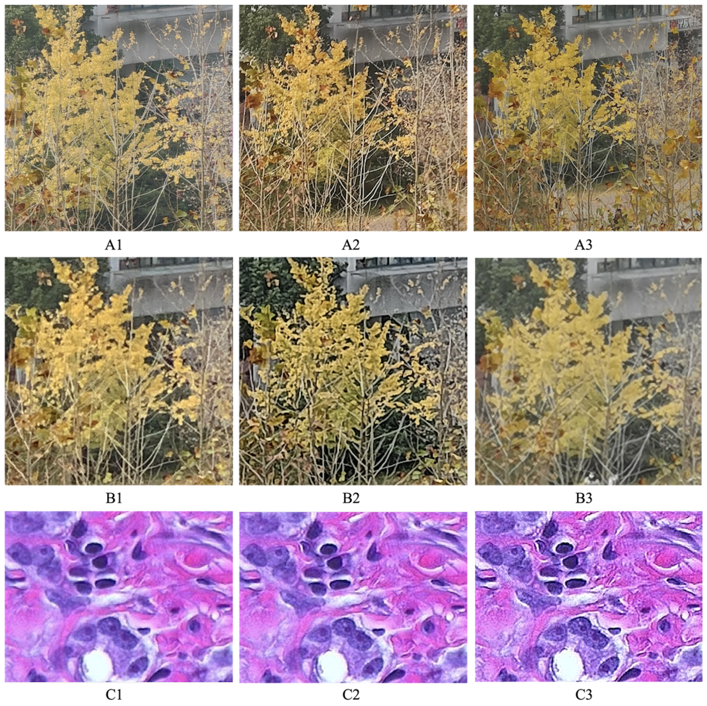 Sensors 23 04724 g008