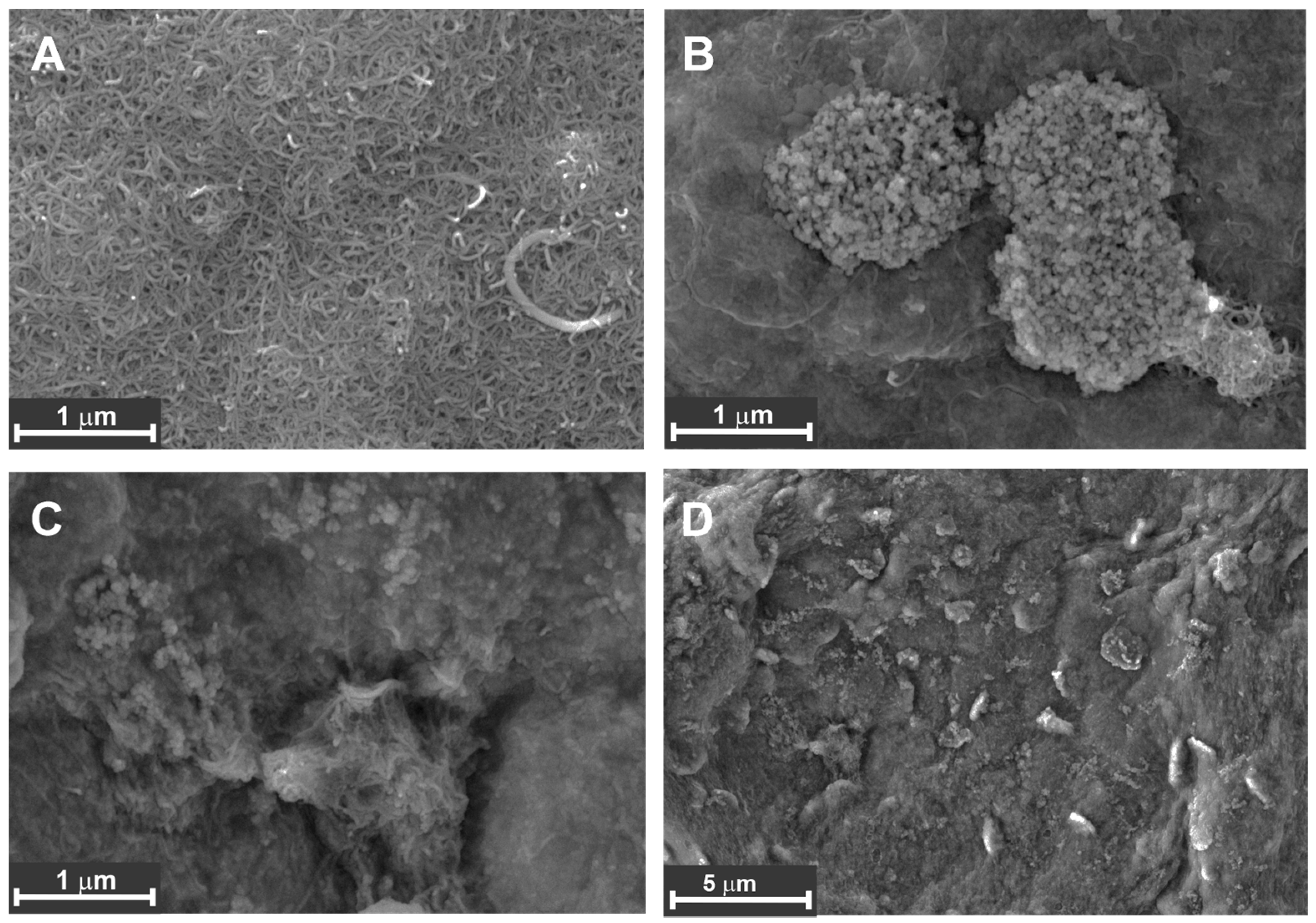 Sensors 23 04761 g009