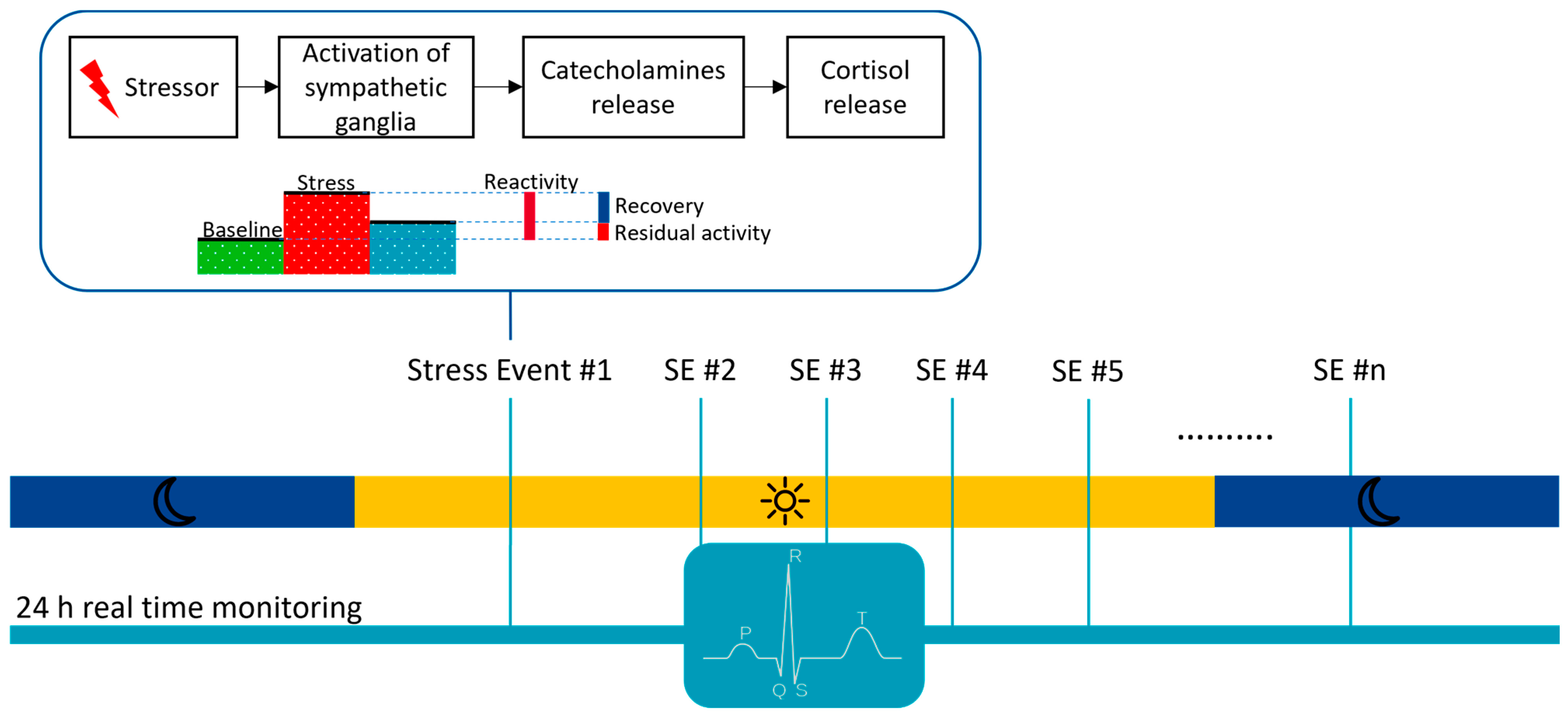 Sensors 23 04805 g005