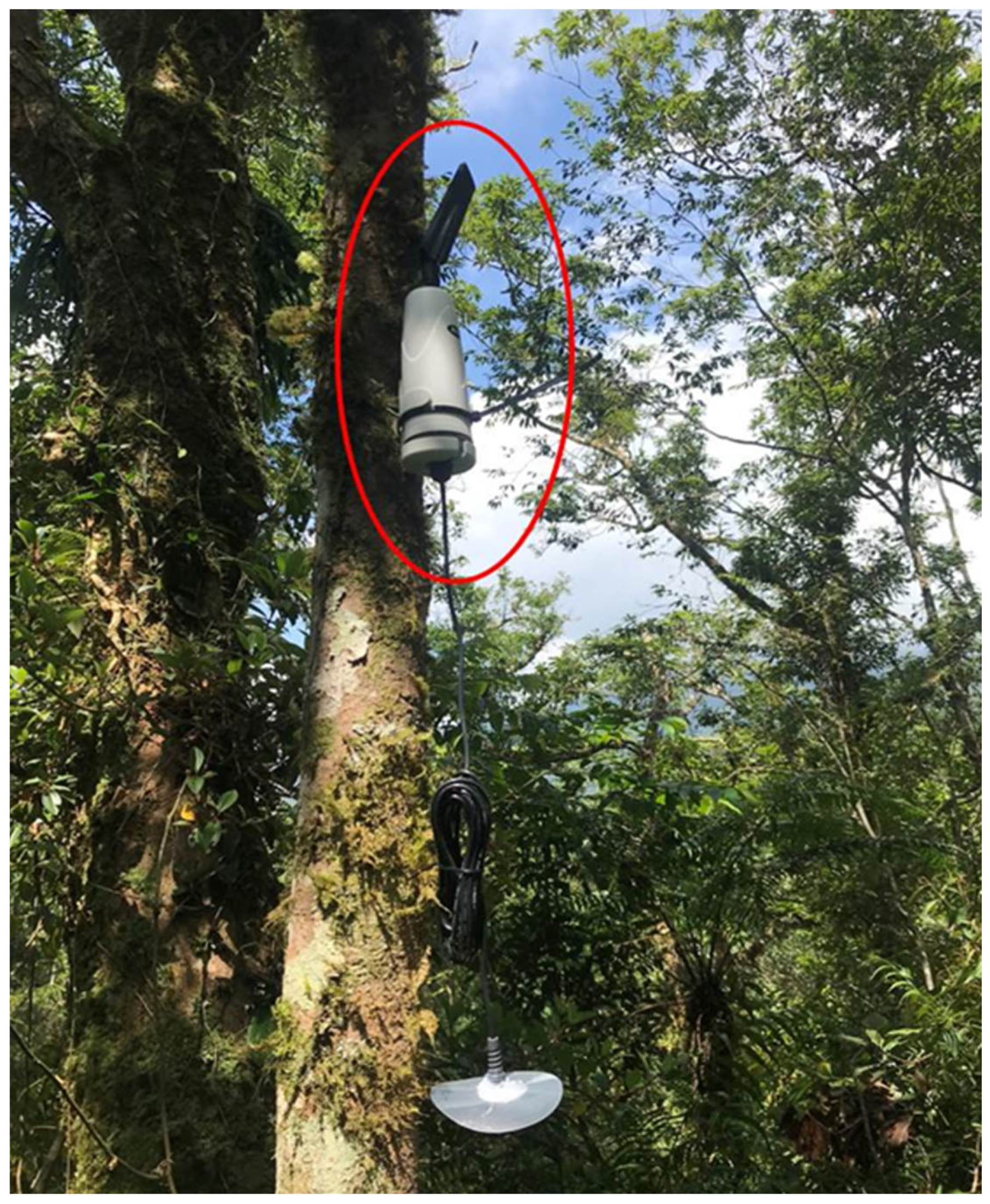 Sensors 23 04809 g006