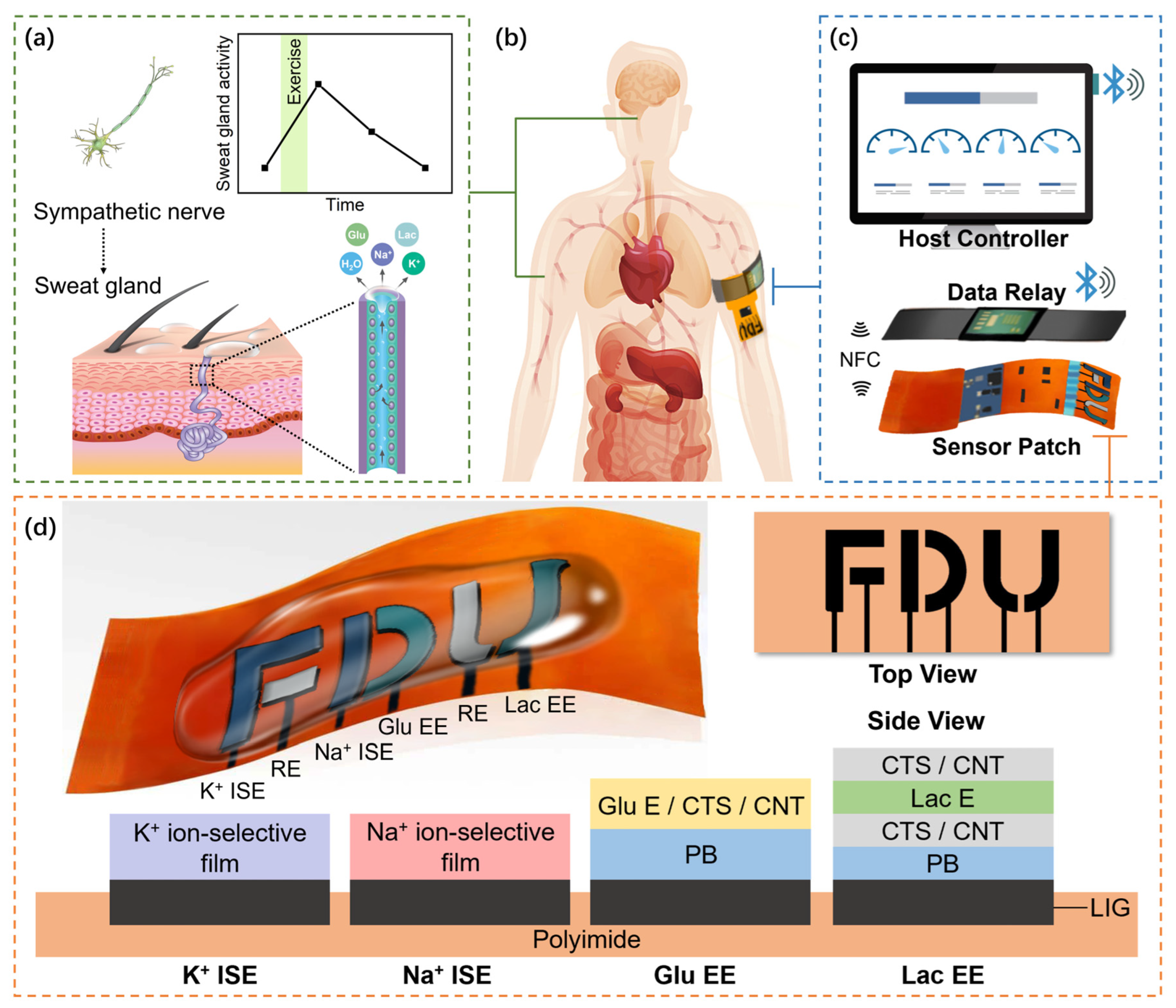 Sensors 23 04818 g001