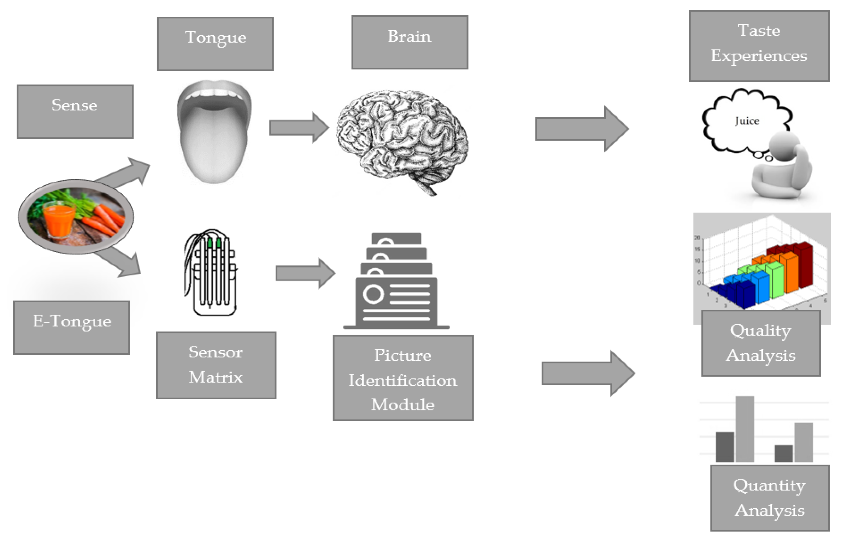 Sensors 23 04824 g005