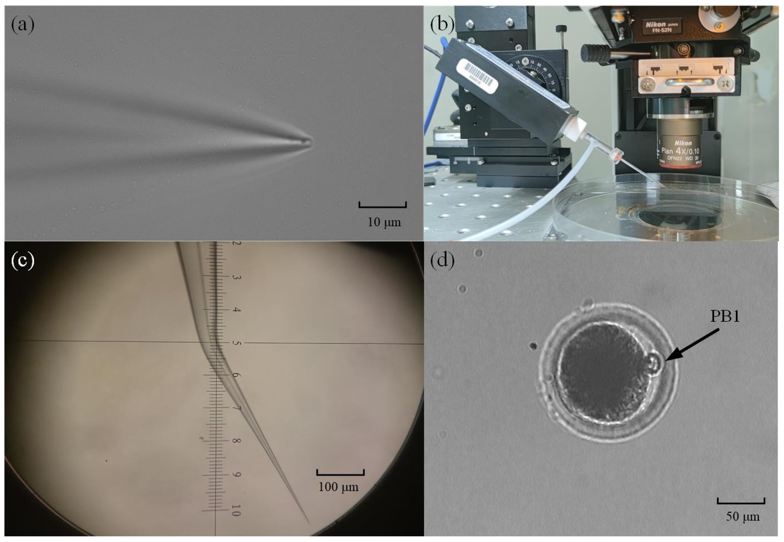 Sensors 23 04973 g003