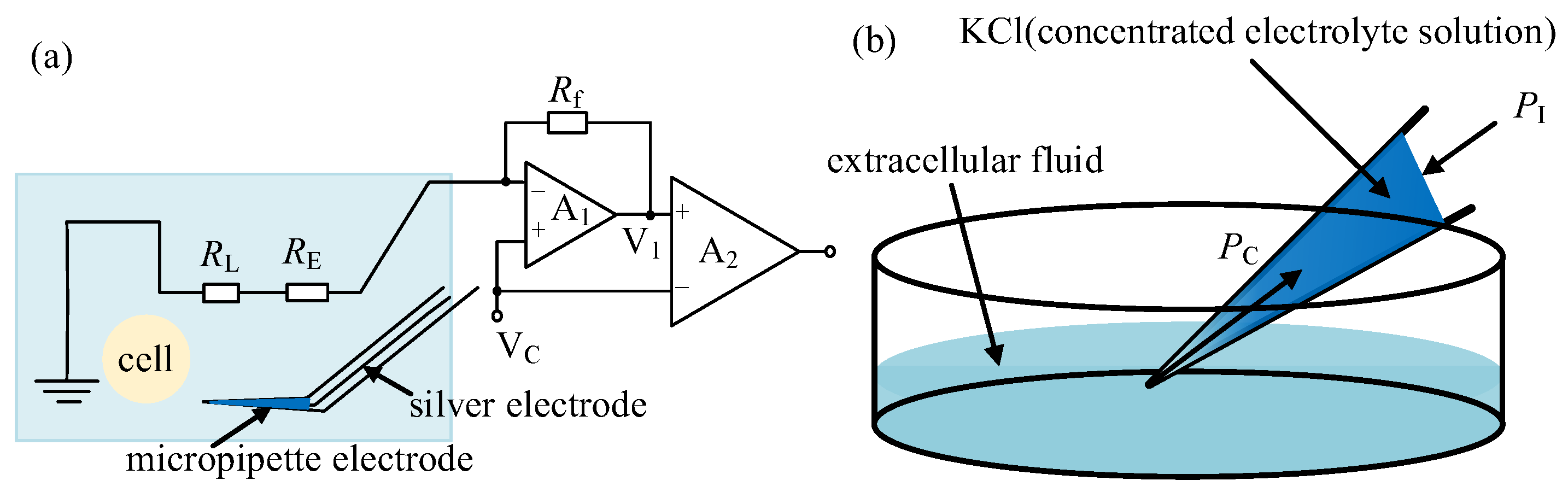 Sensors 23 04973 g005