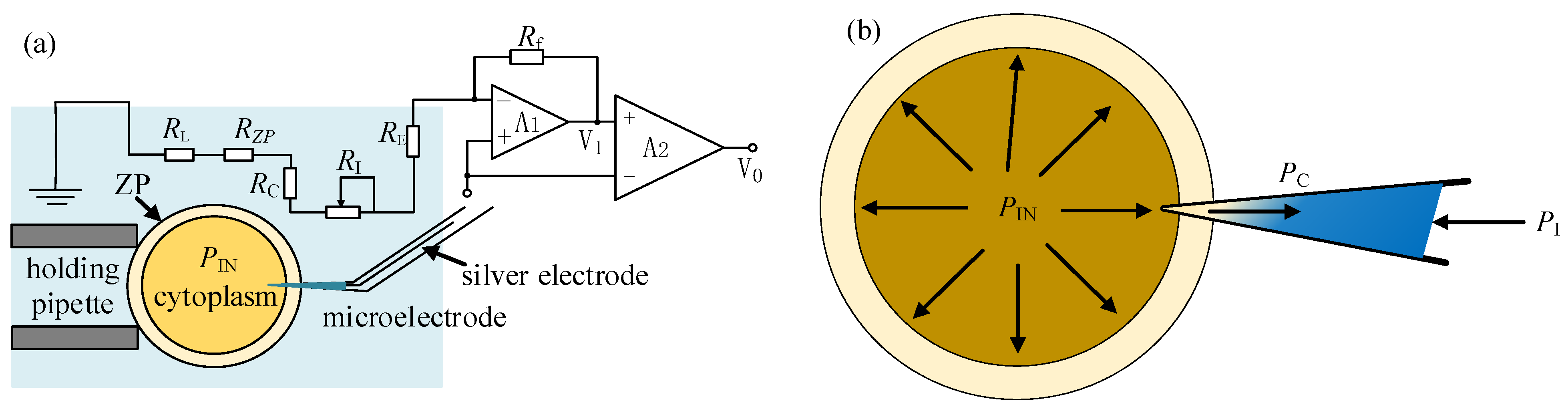 Sensors 23 04973 g007