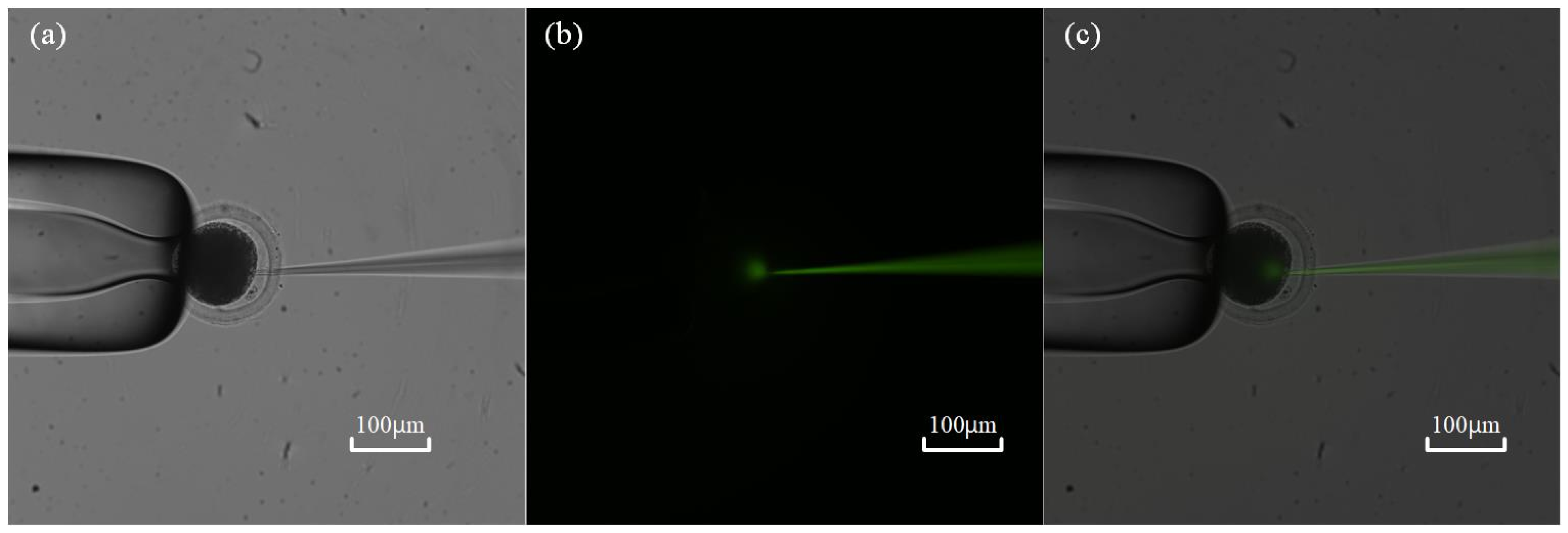 Sensors 23 04973 g010