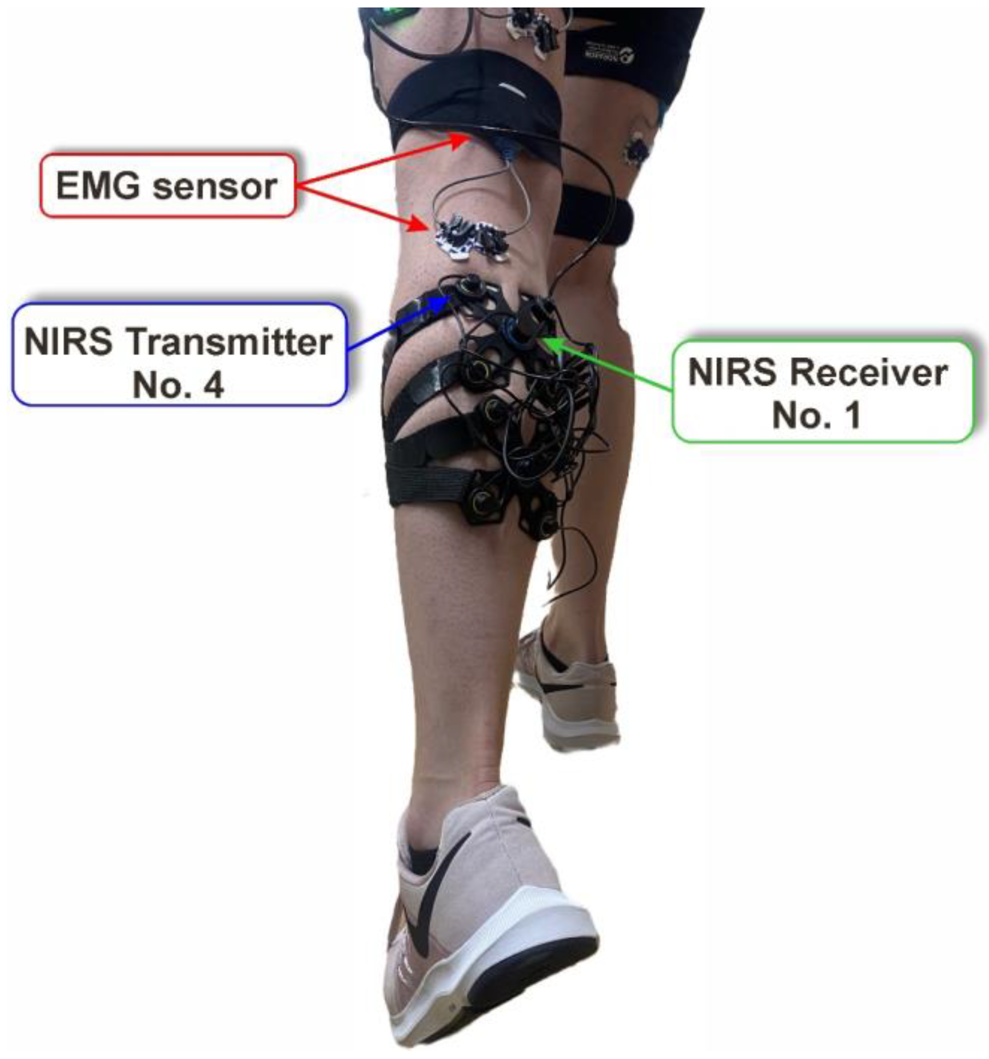 Sensors 23 05004 g001