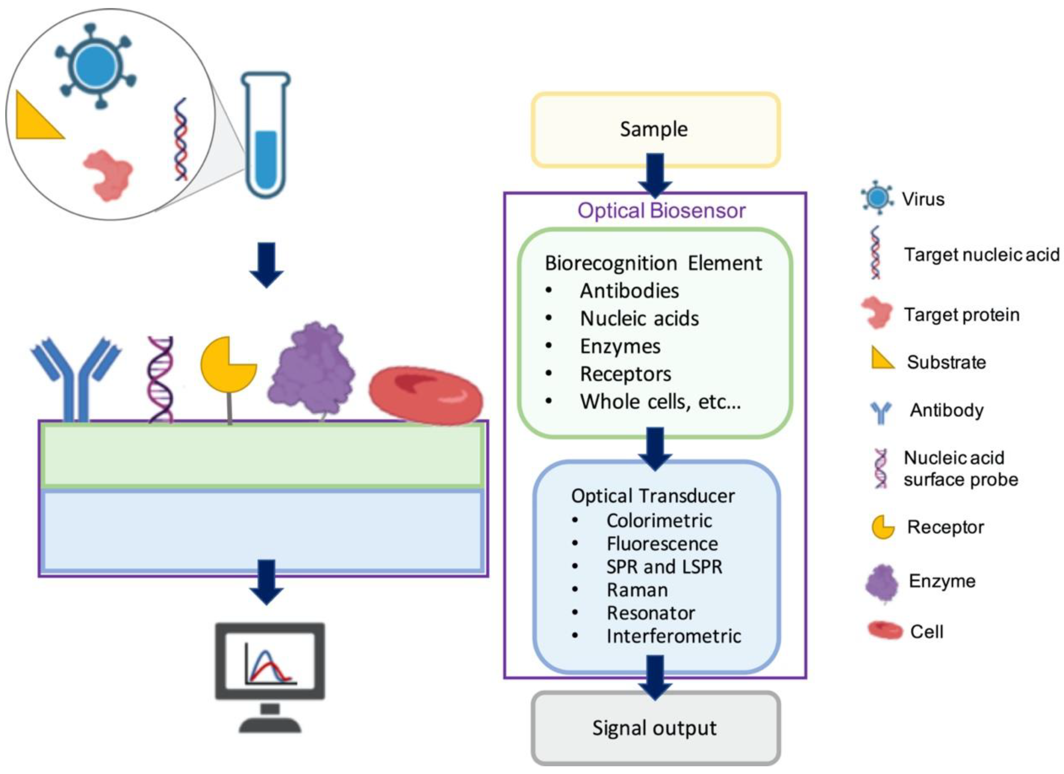 Sensors 23 05018 g001