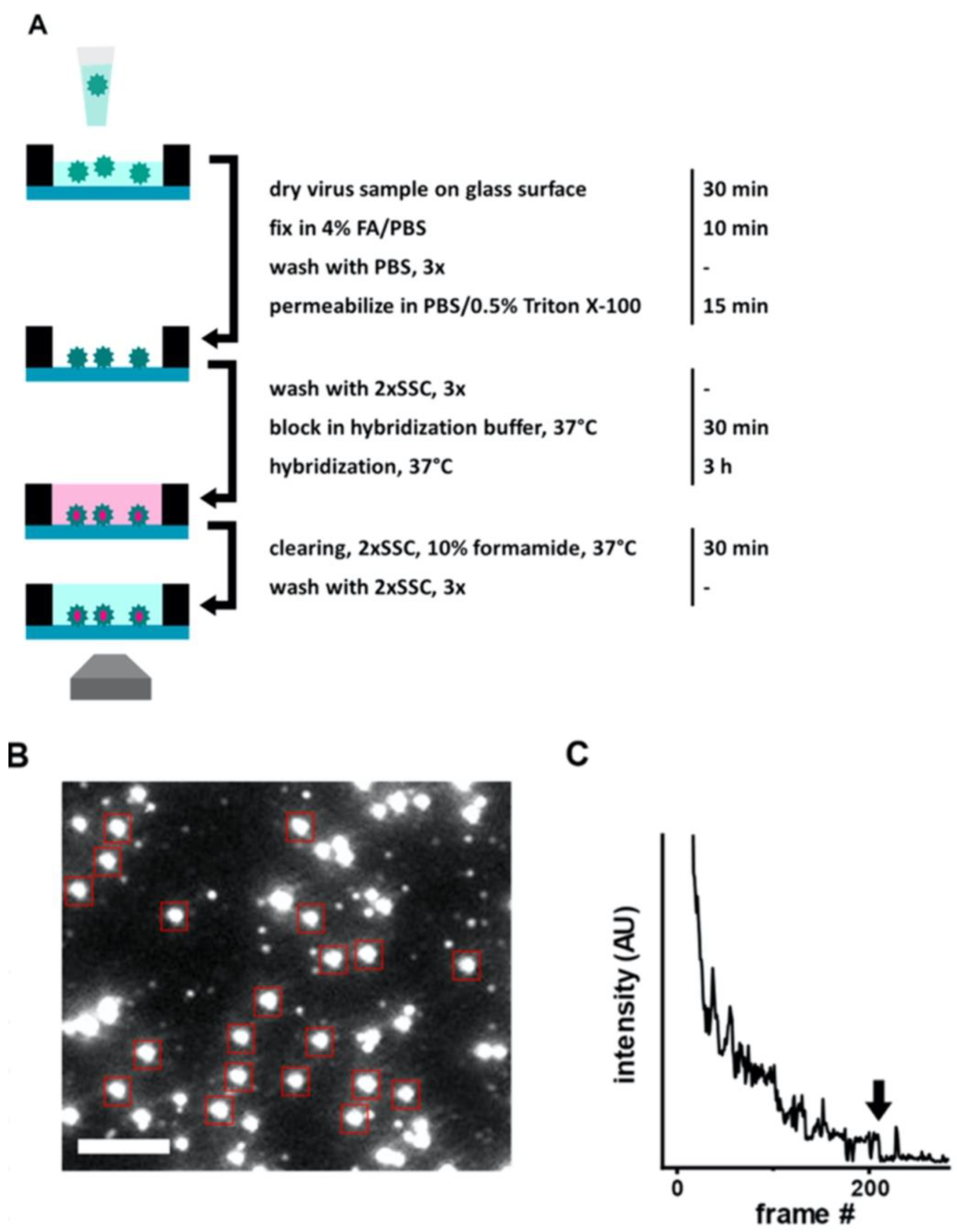 Sensors 23 05018 g003