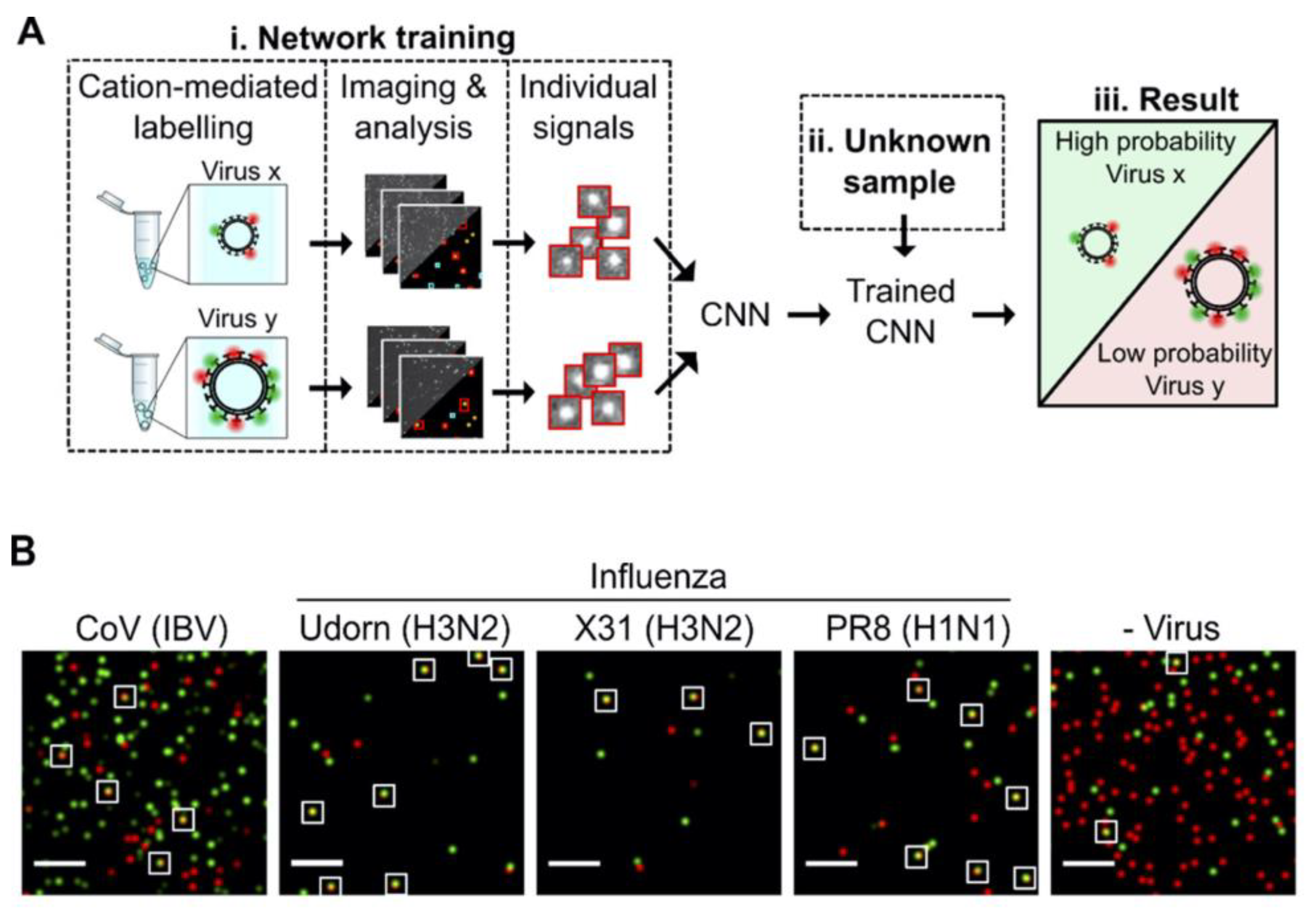 Sensors 23 05018 g004