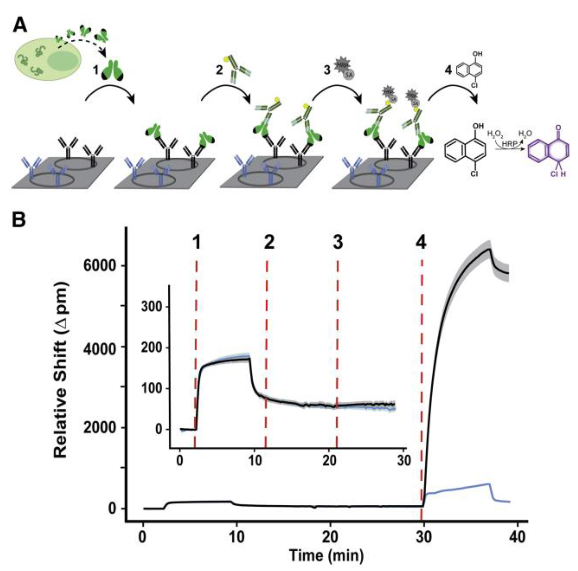 Sensors 23 05018 g013