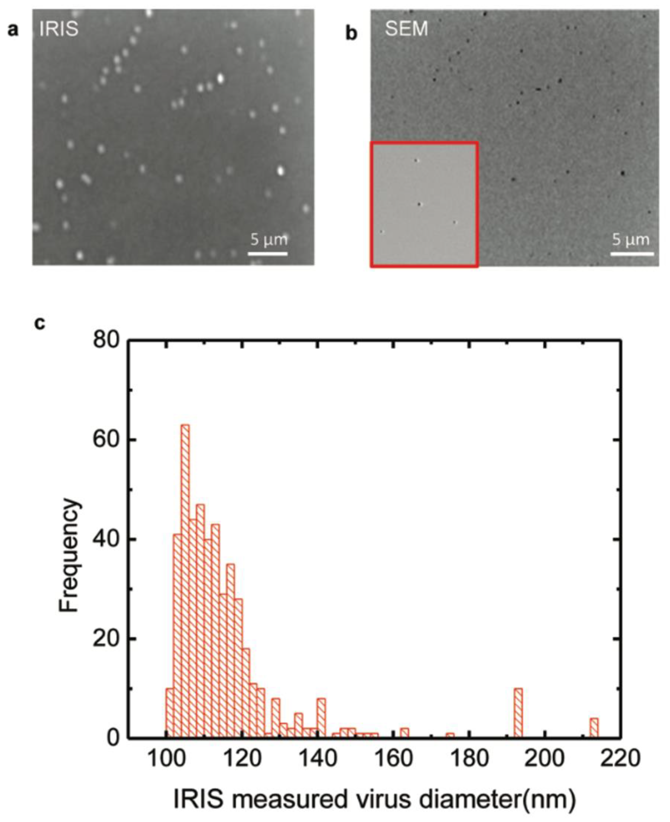 Sensors 23 05018 g017
