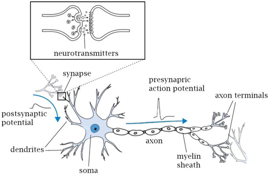 Sensors 23 05074 g003