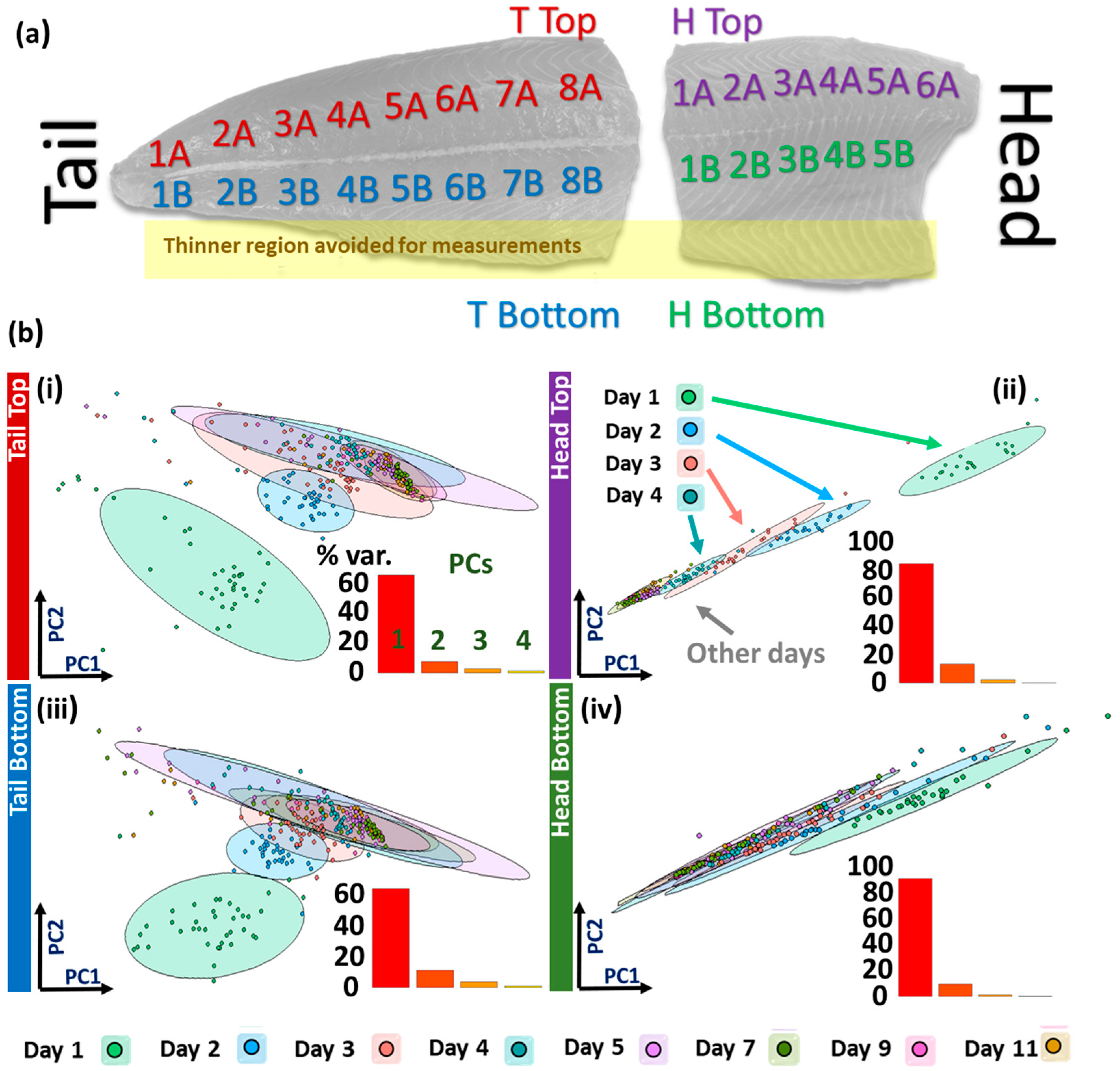 Sensors 23 05149 g003