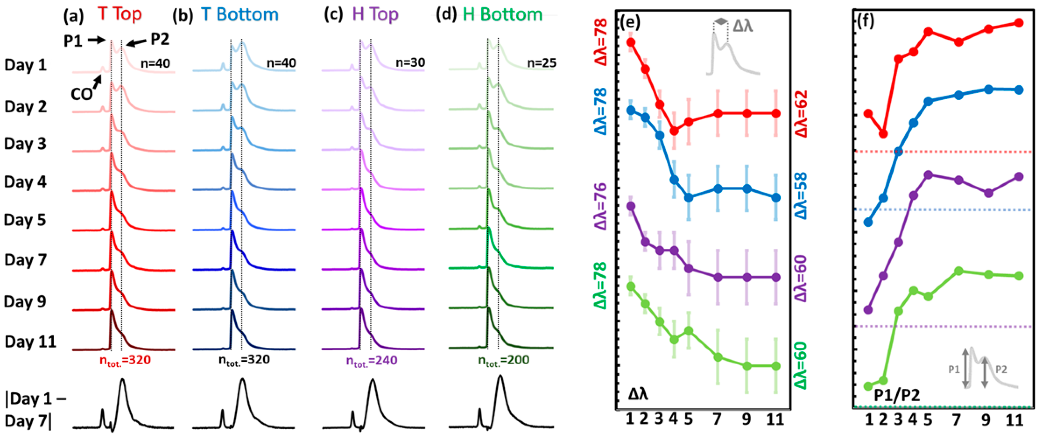 Sensors 23 05149 g010