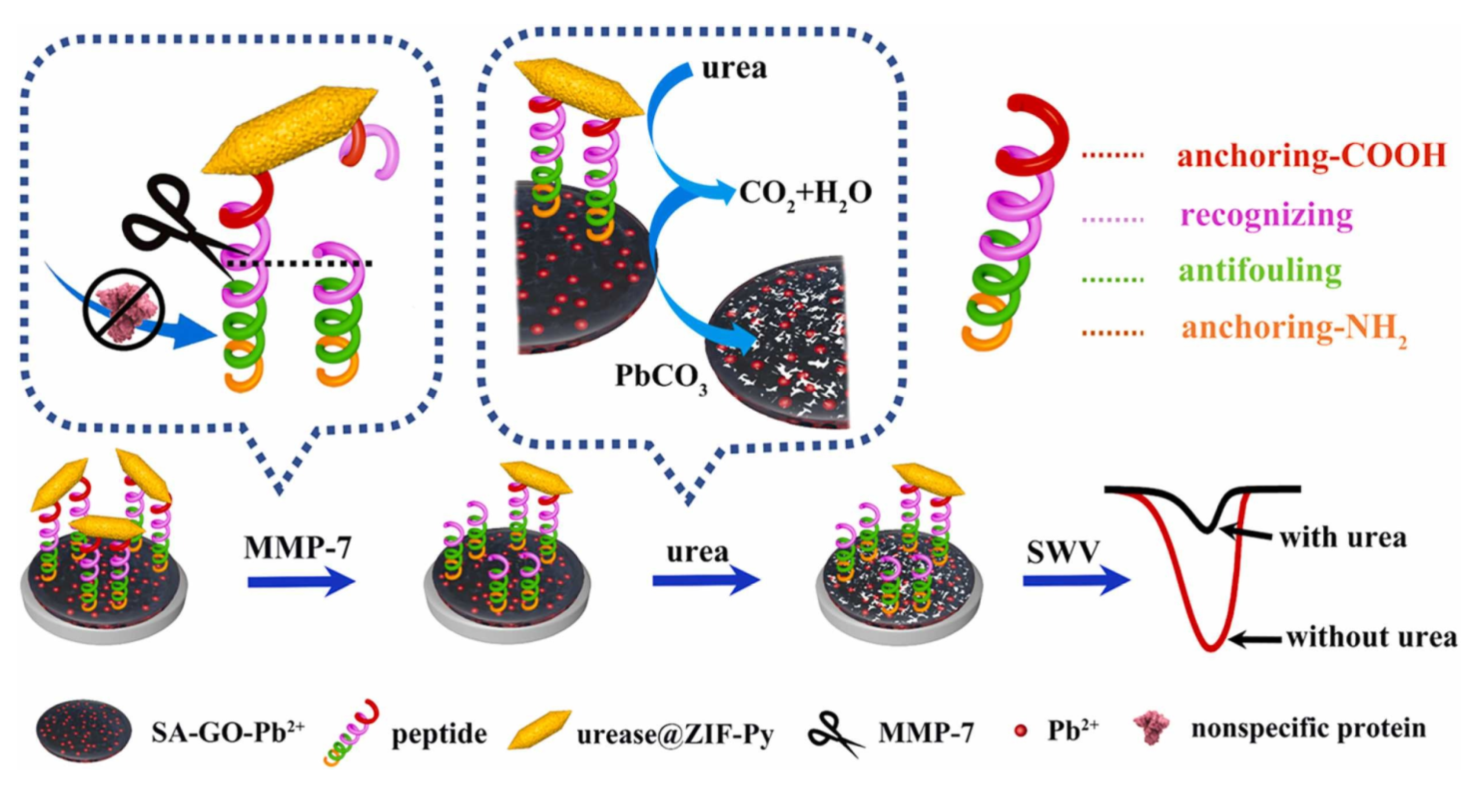 Sensors 23 05202 g005