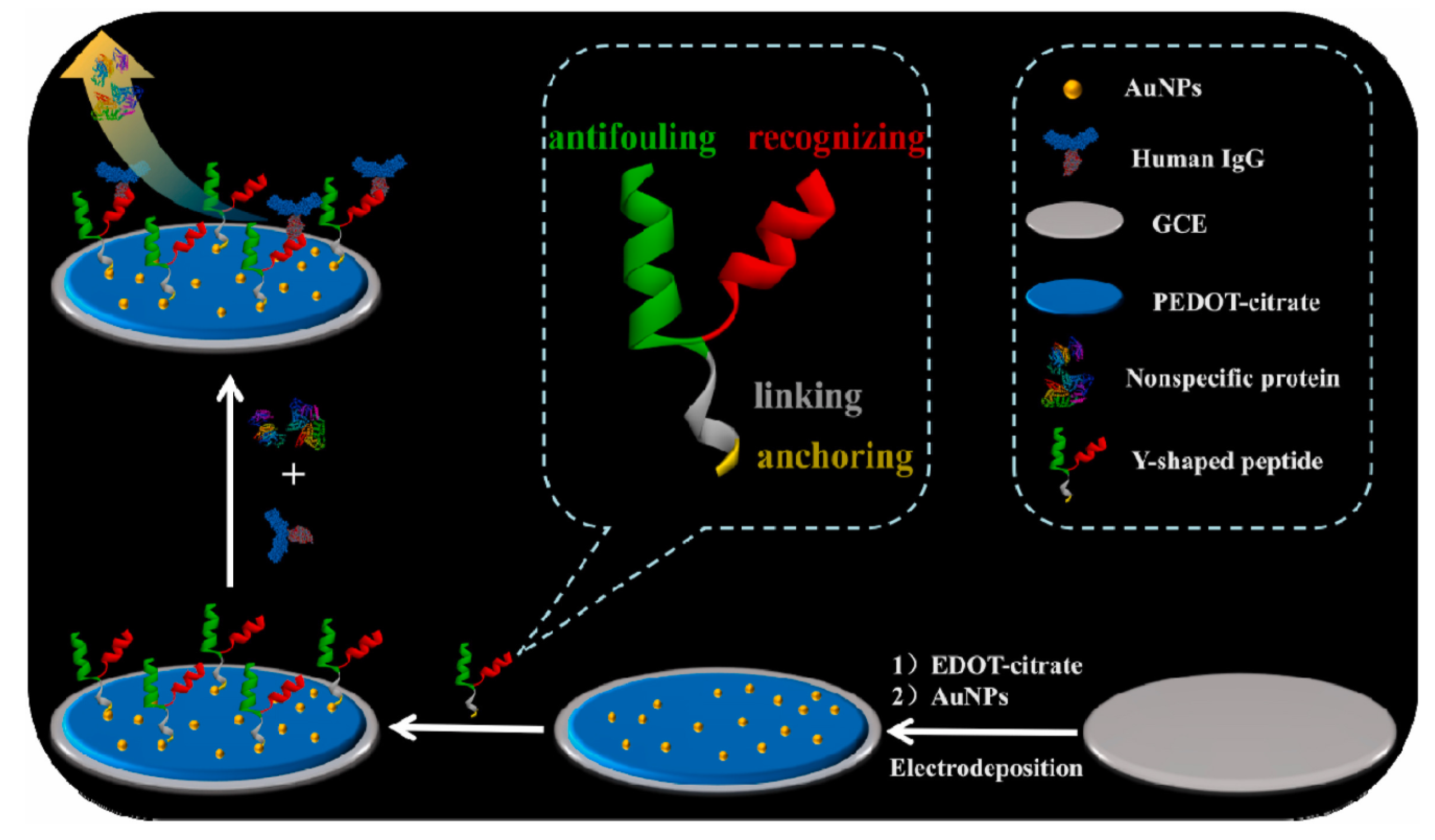 Sensors 23 05202 g007