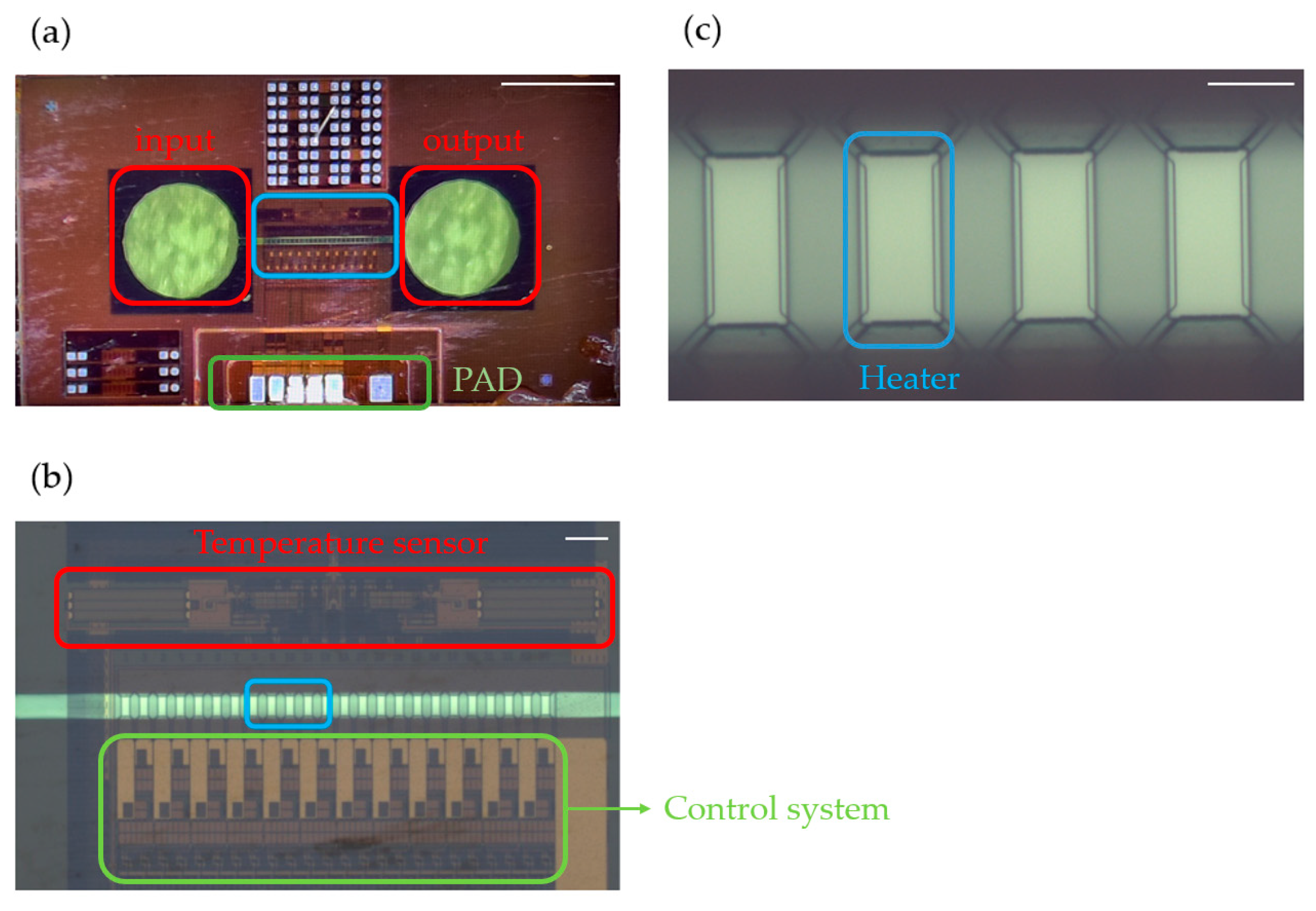 Sensors 23 05207 g005