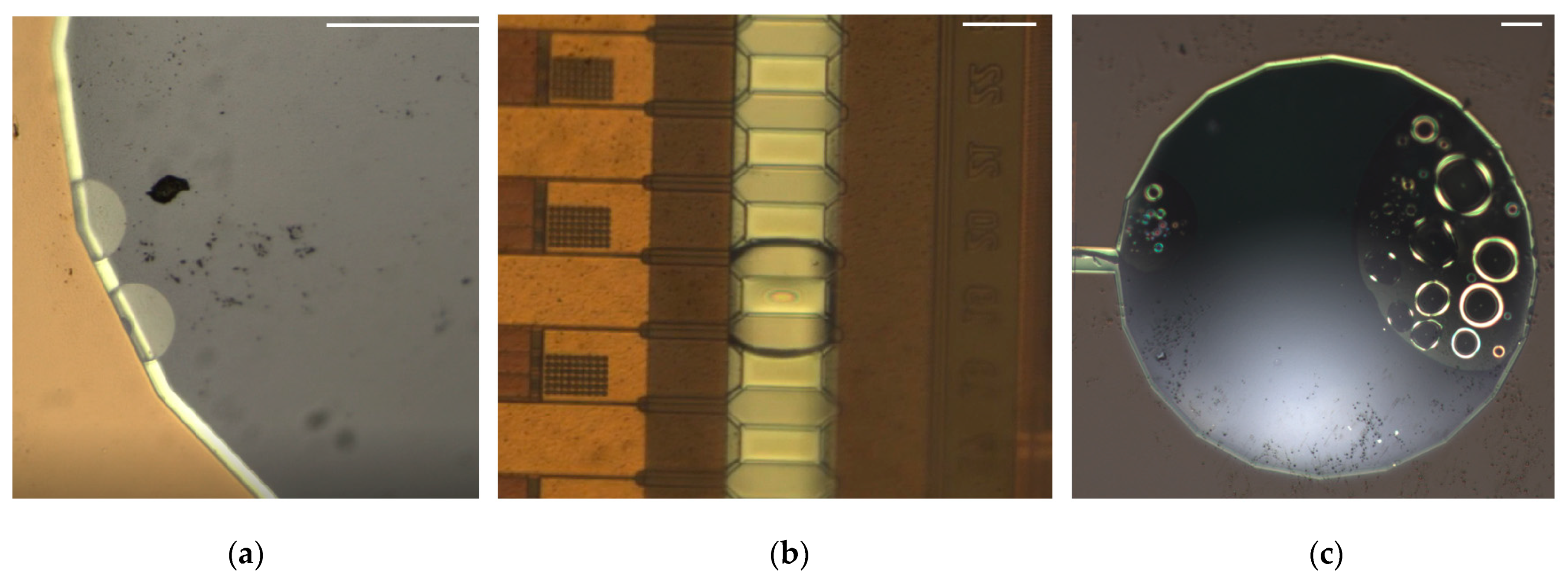 Sensors 23 05207 g011