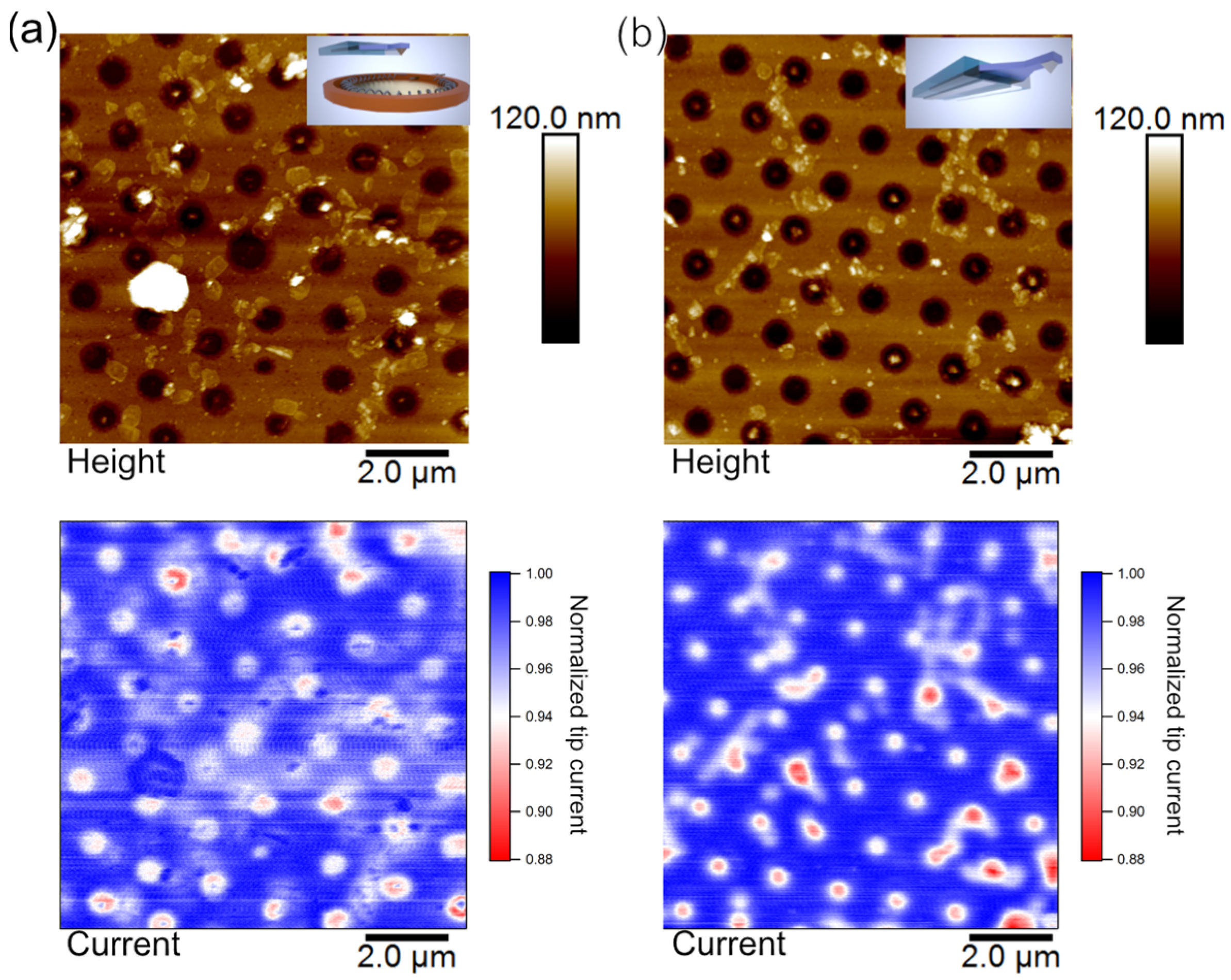 Sensors 23 05228 g005