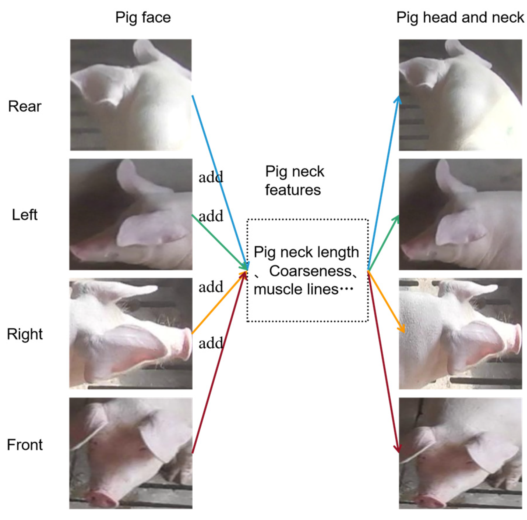 Sensors 23 05242 g004