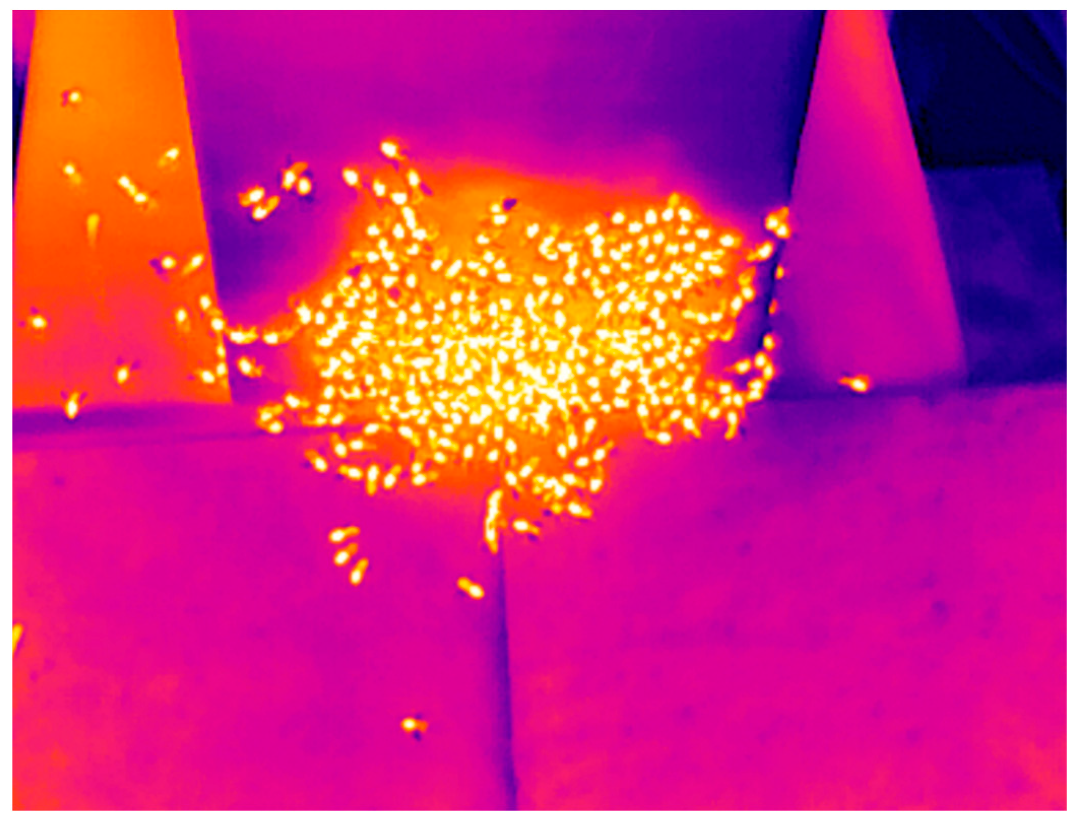 Sensors 23 05250 g002 Sensors 23 05250 g002