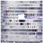 Sensors 23 05253 i004 Sensors 23 05253 i004