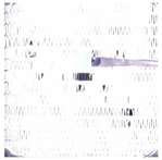 Sensors 23 05253 i005 Sensors 23 05253 i005