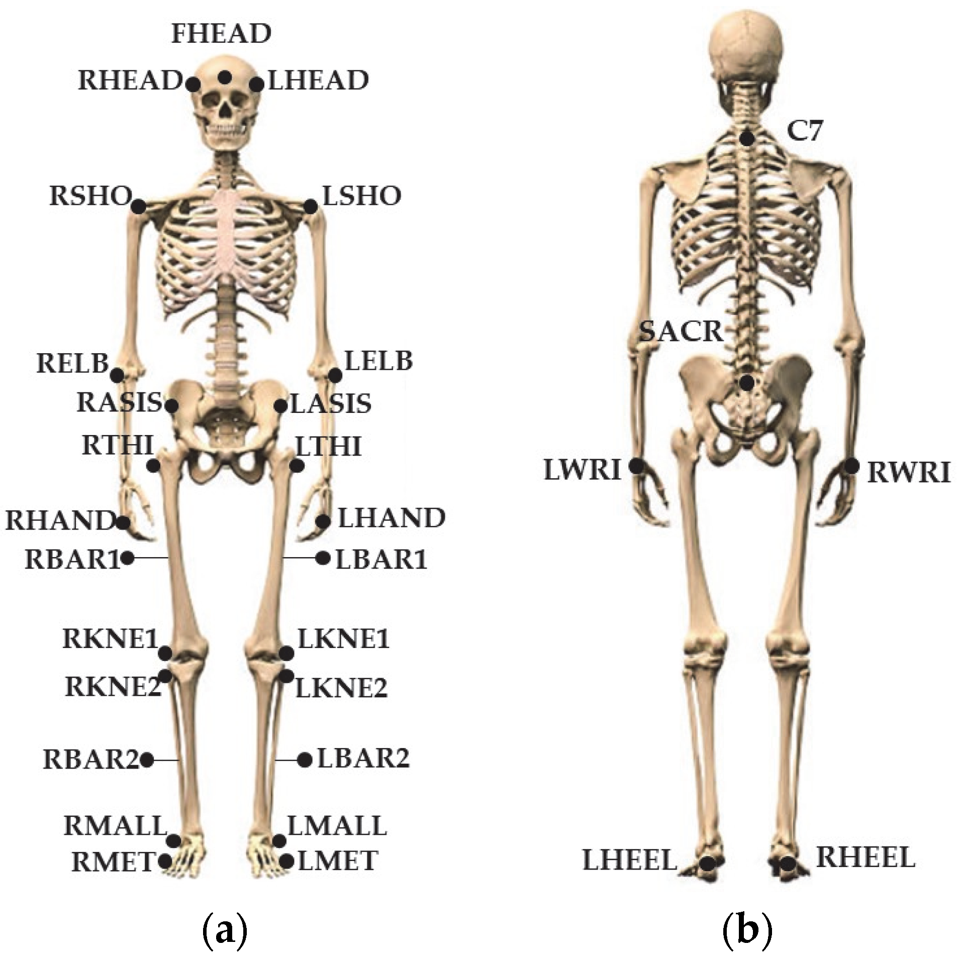 Sensors 23 05309 g004 Sensors 23 05309 g004