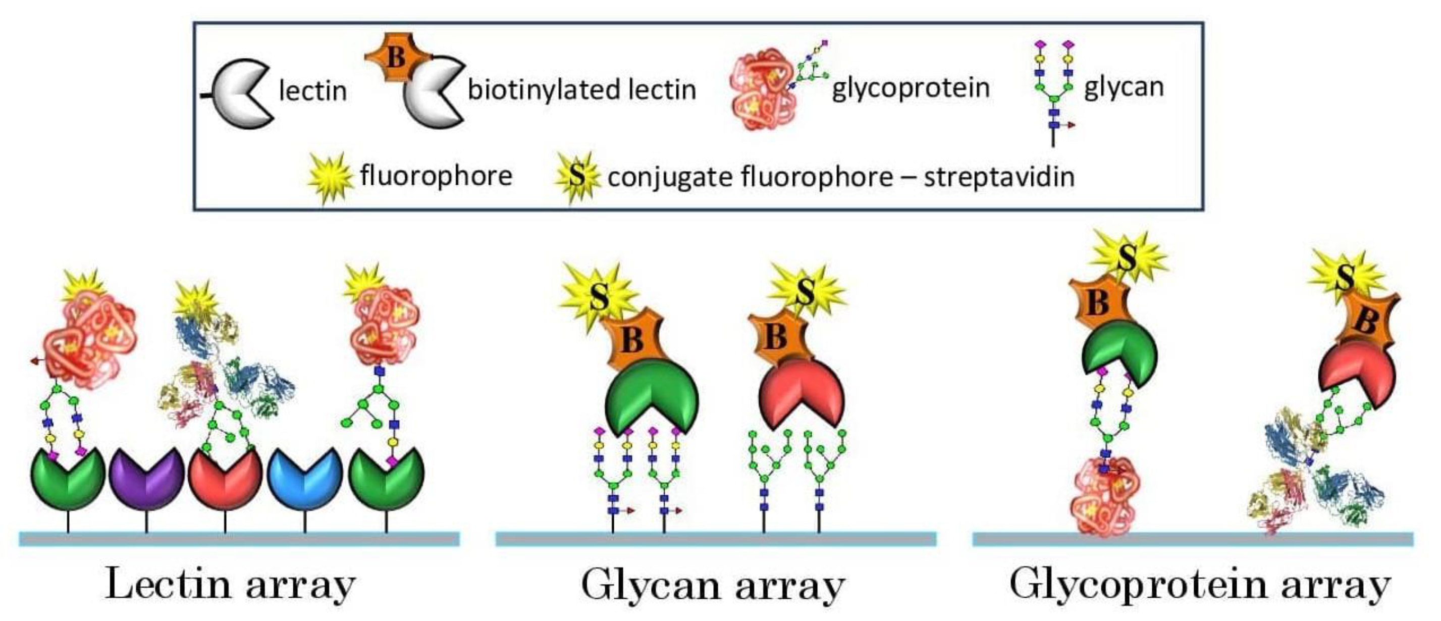 Sensors 23 05362 g001 Sensors 23 05362 g001