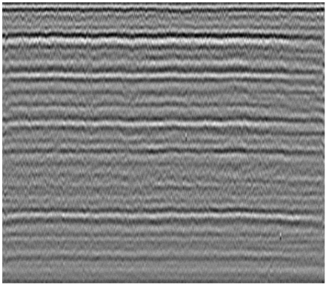 Sensors 23 05383 i001