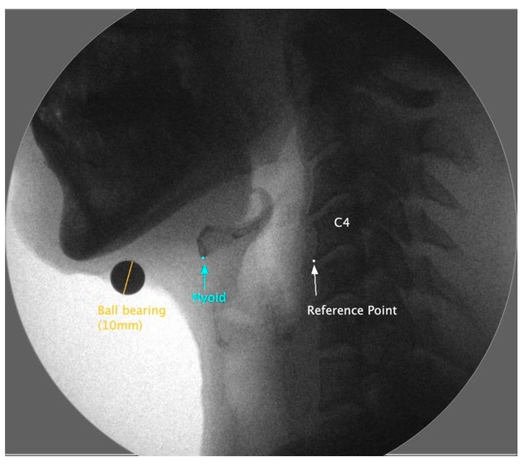 Sensors 23 05392 g002 Sensors 23 05392 g002