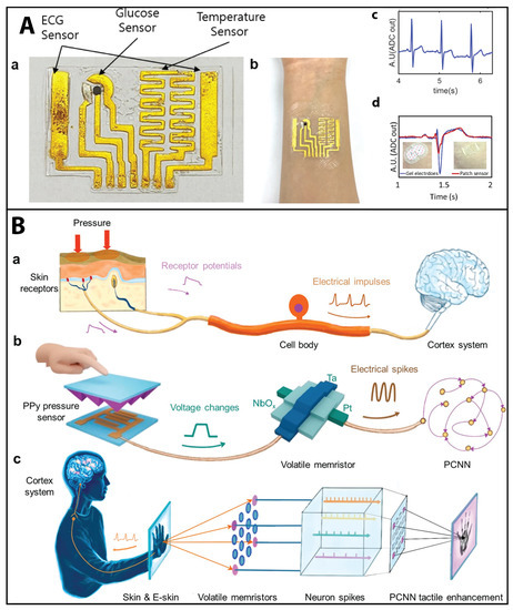 Sensors 23 05406 g005