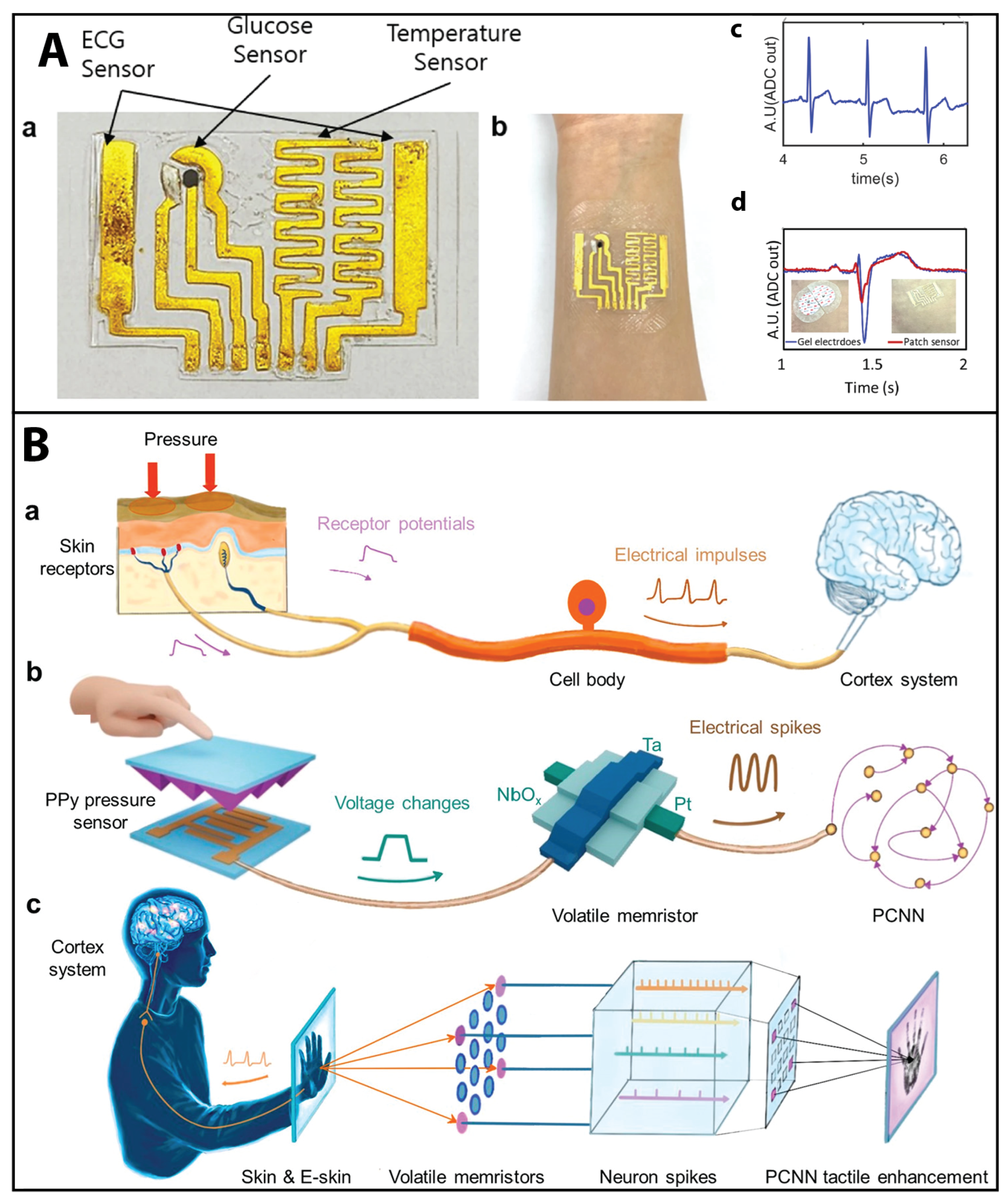 Sensors 23 05406 g005