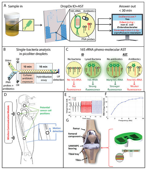 Sensors 23 05406 g007