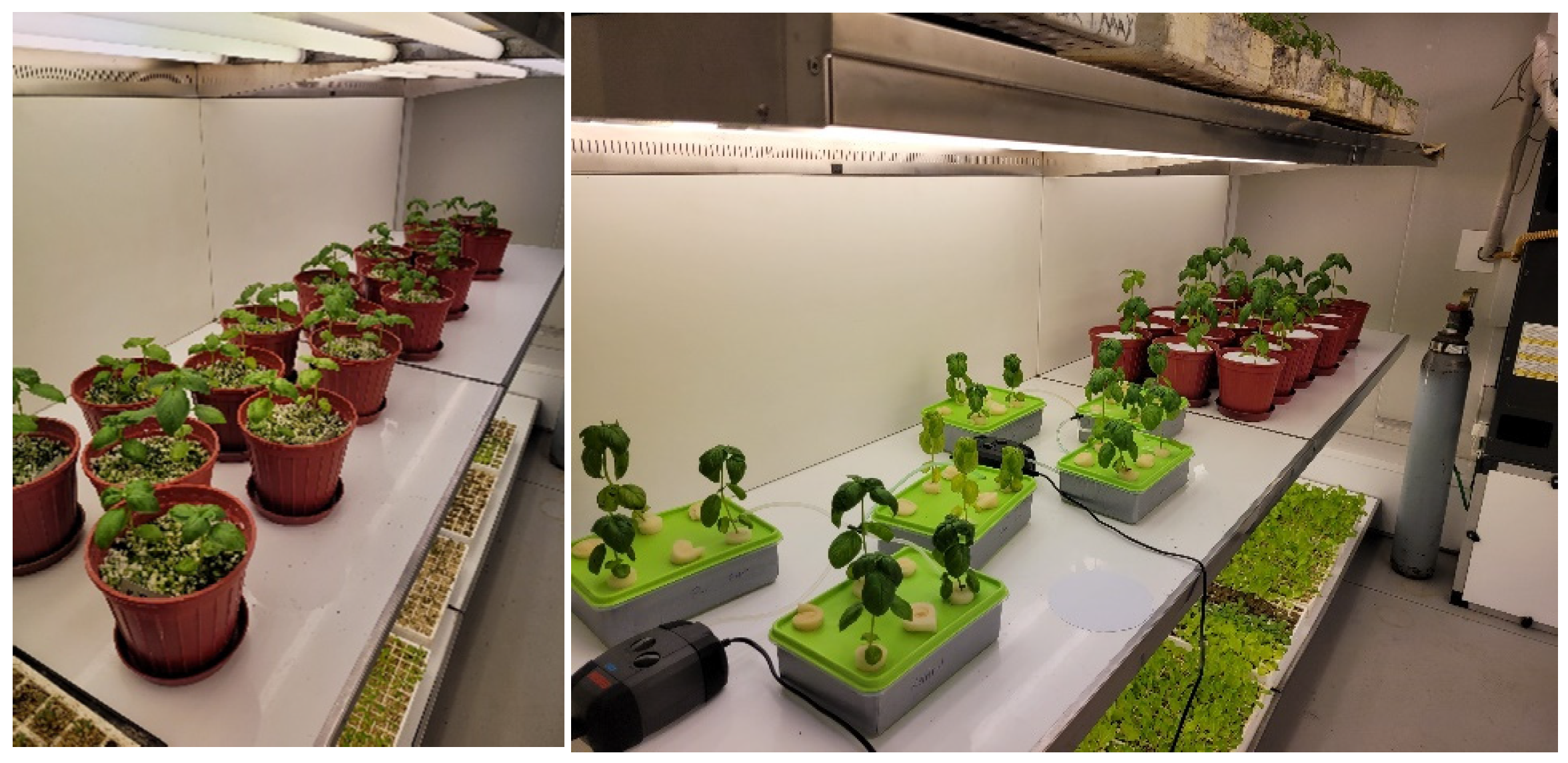 Sensors 23 05407 g002