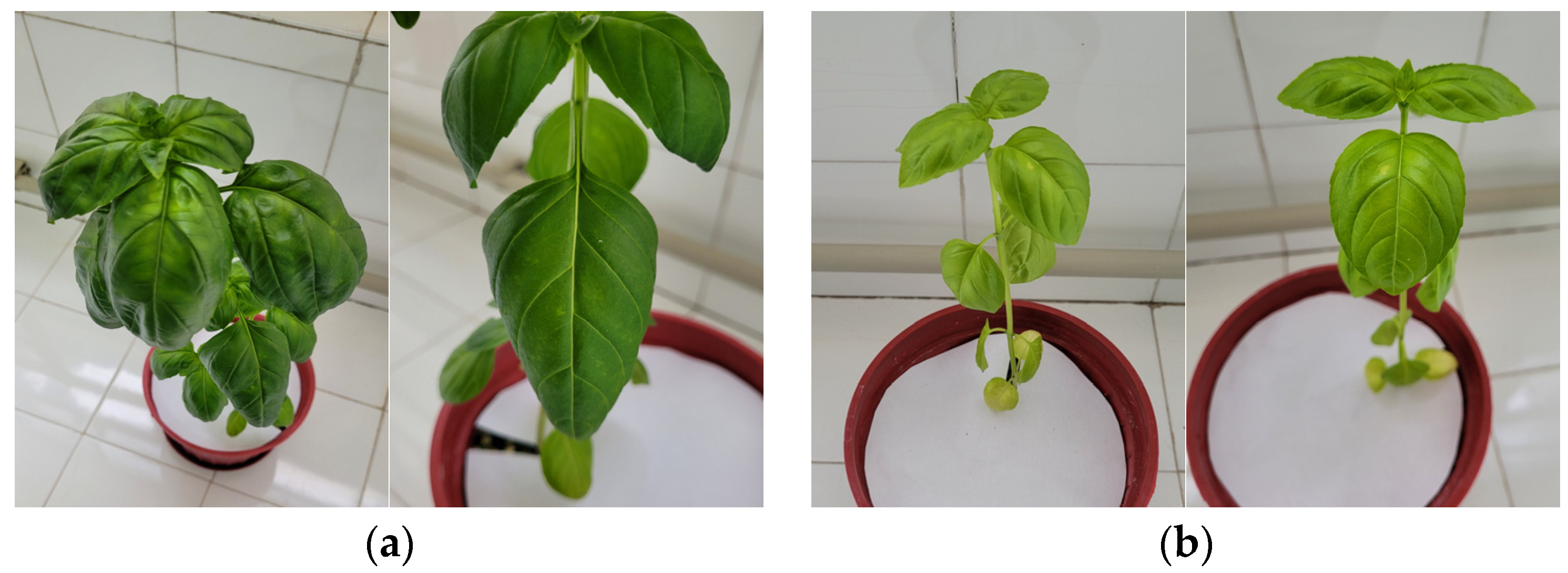 Sensors 23 05407 g003a