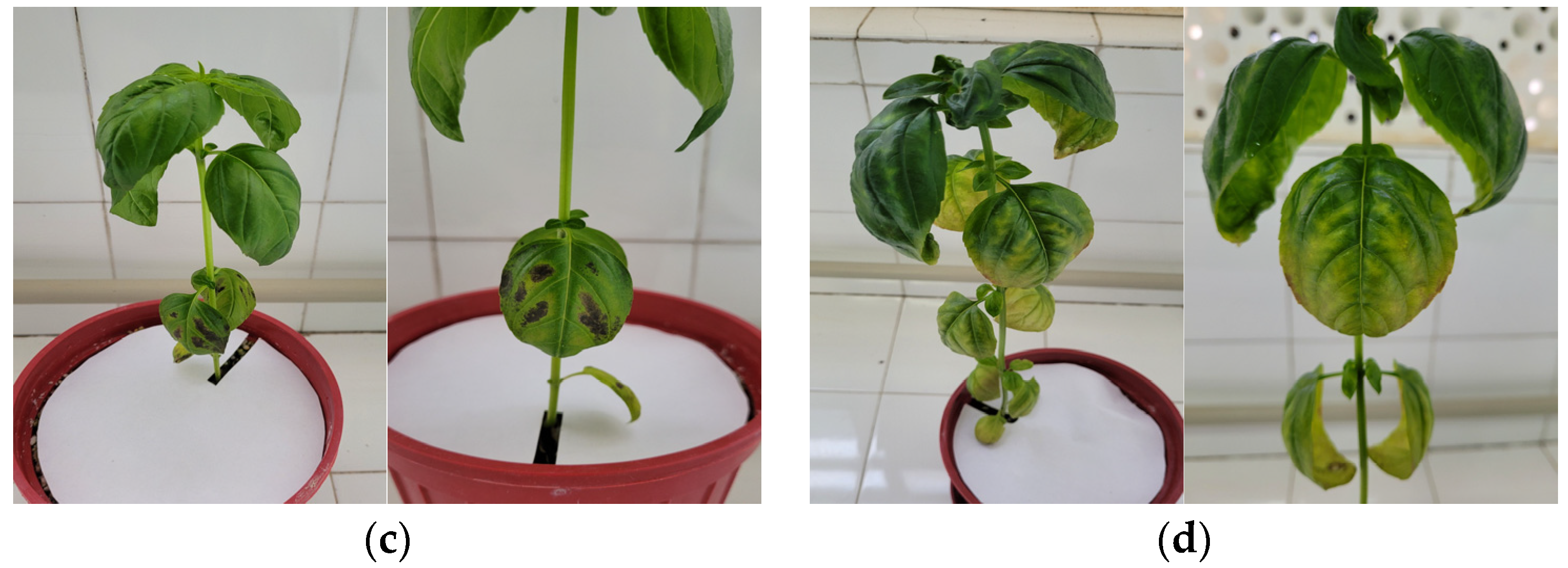 Sensors 23 05407 g003b