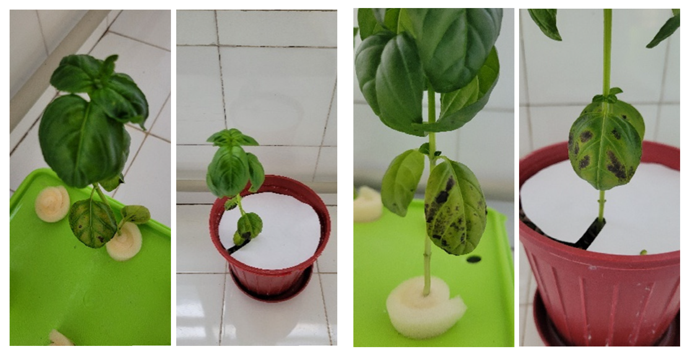 Sensors 23 05407 g004