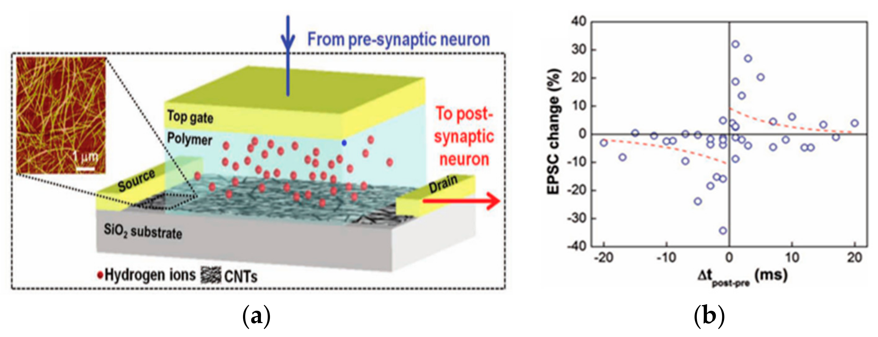 Sensors 23 05413 g029