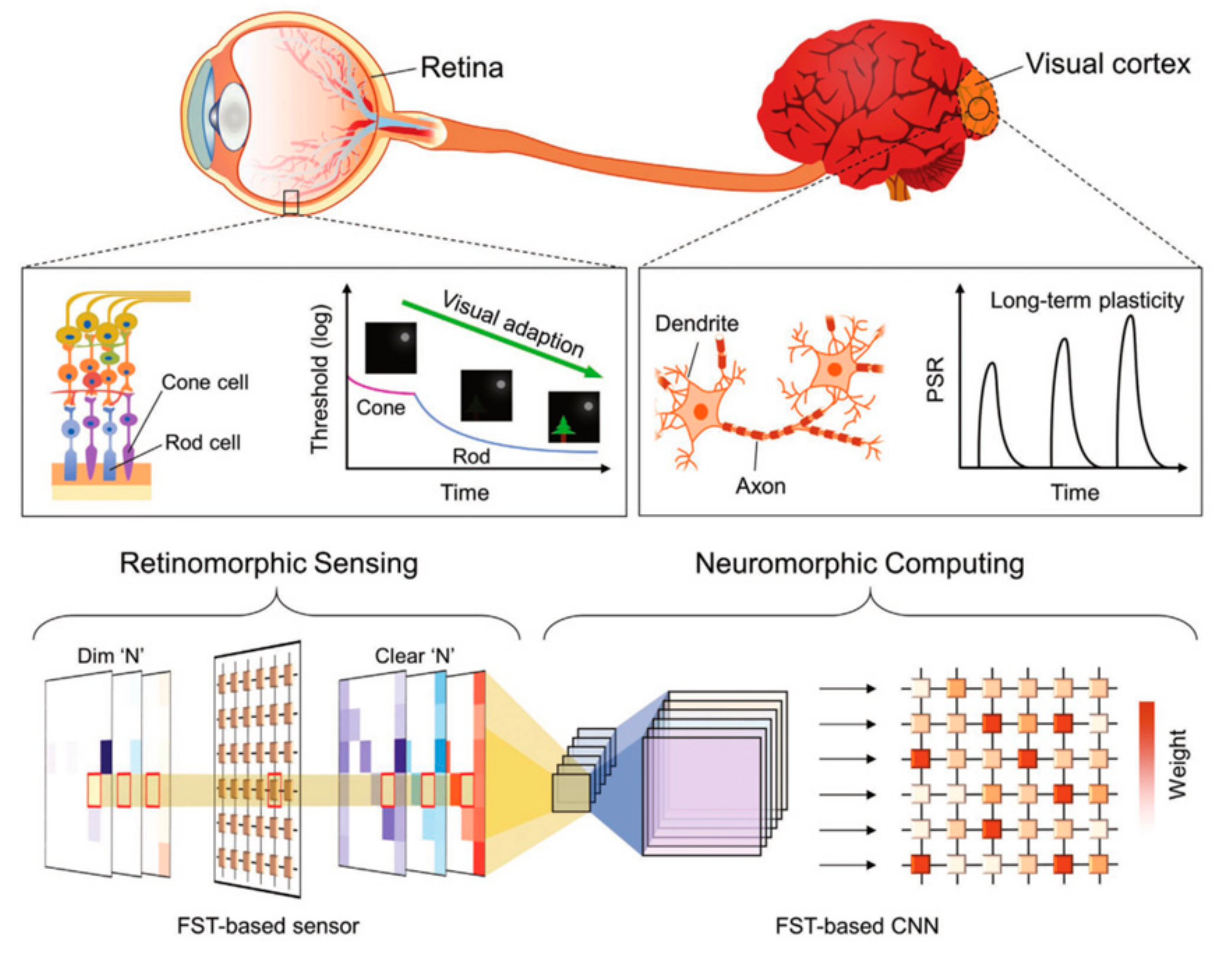 Sensors 23 05413 g042