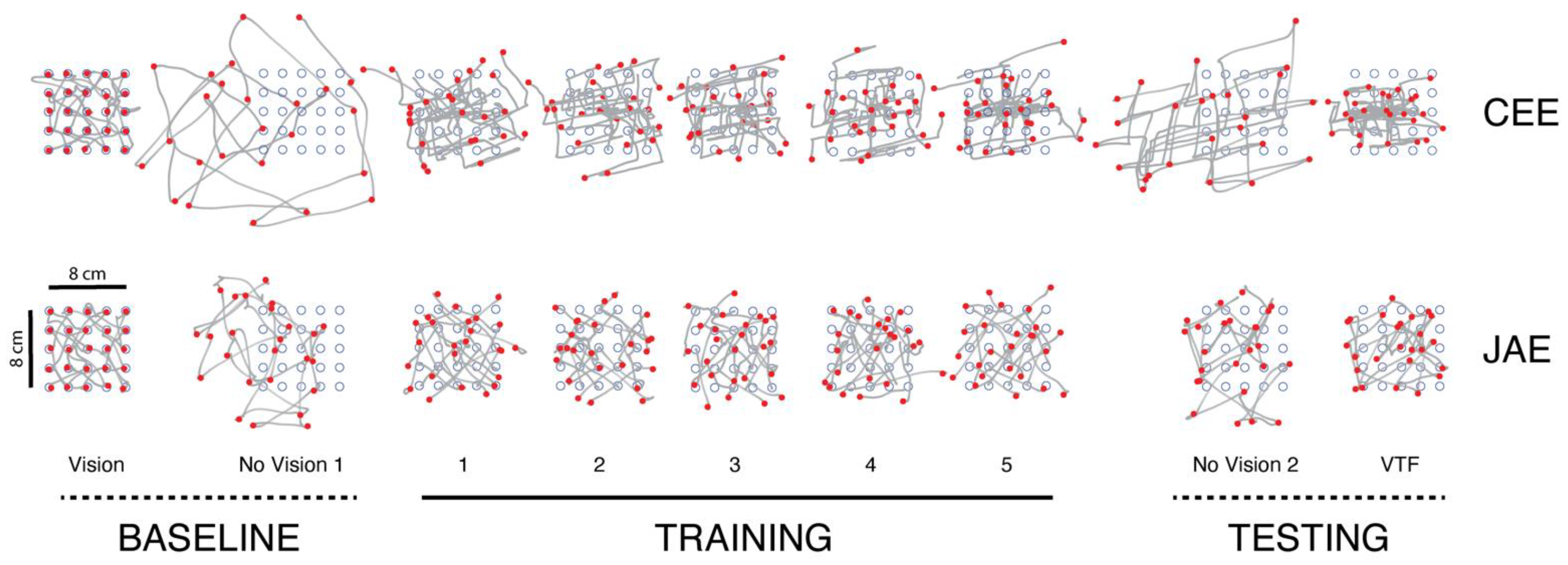 Sensors 23 05455 g003