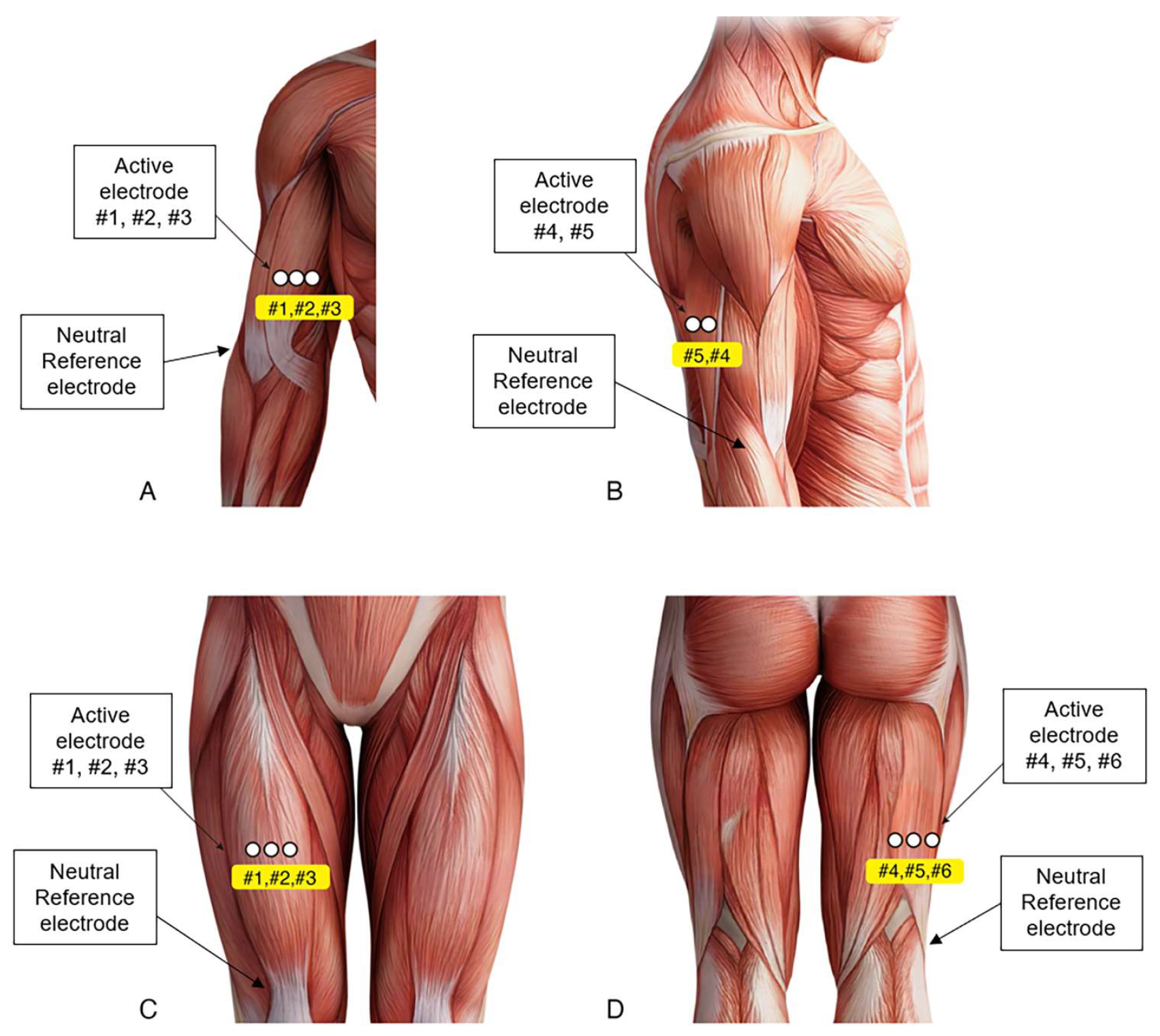 Sensors 23 05490 g002